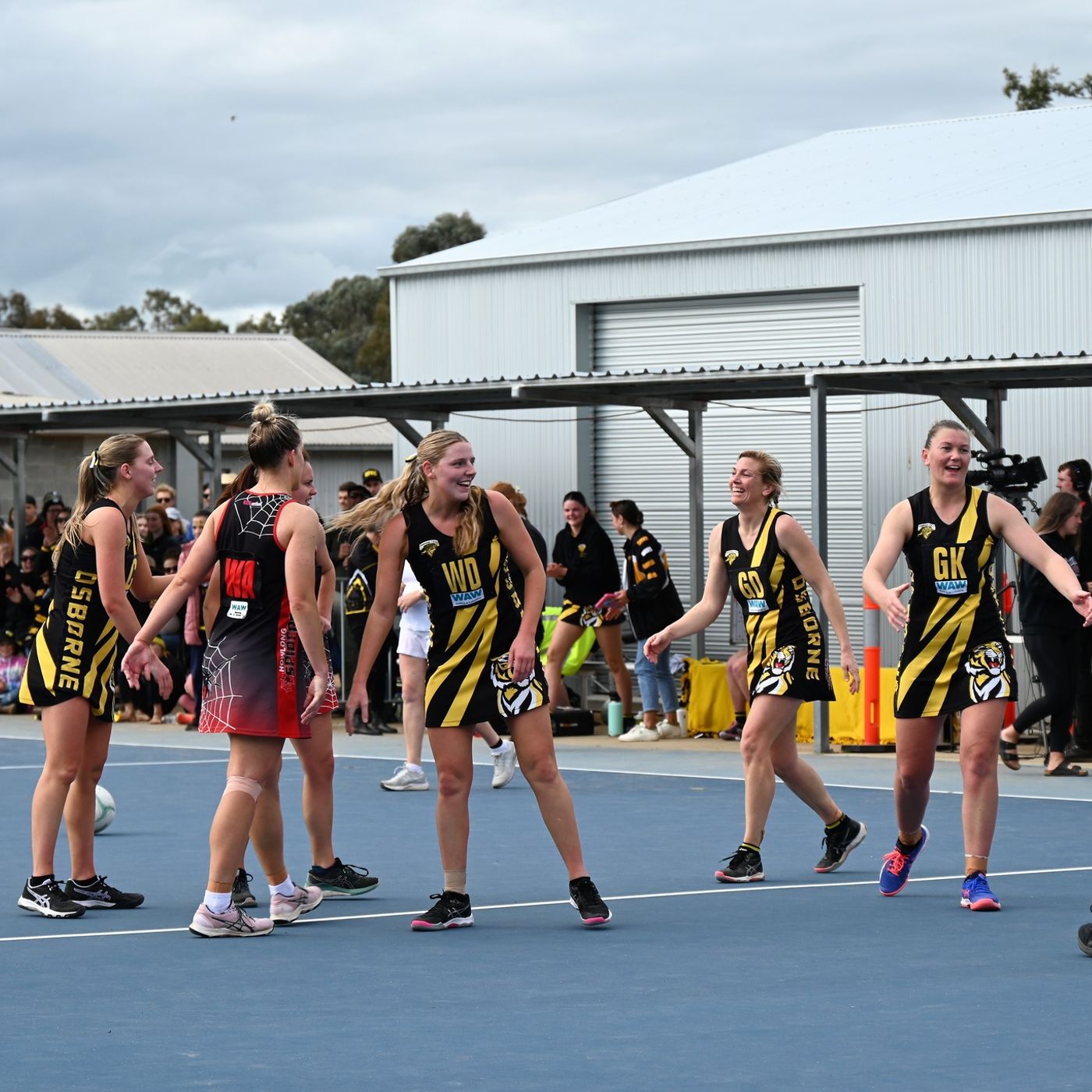 Hume Netball expert Carla Fletcher previews this weekend's Grand Finals on the Flow Friday Sports Show episode artwork