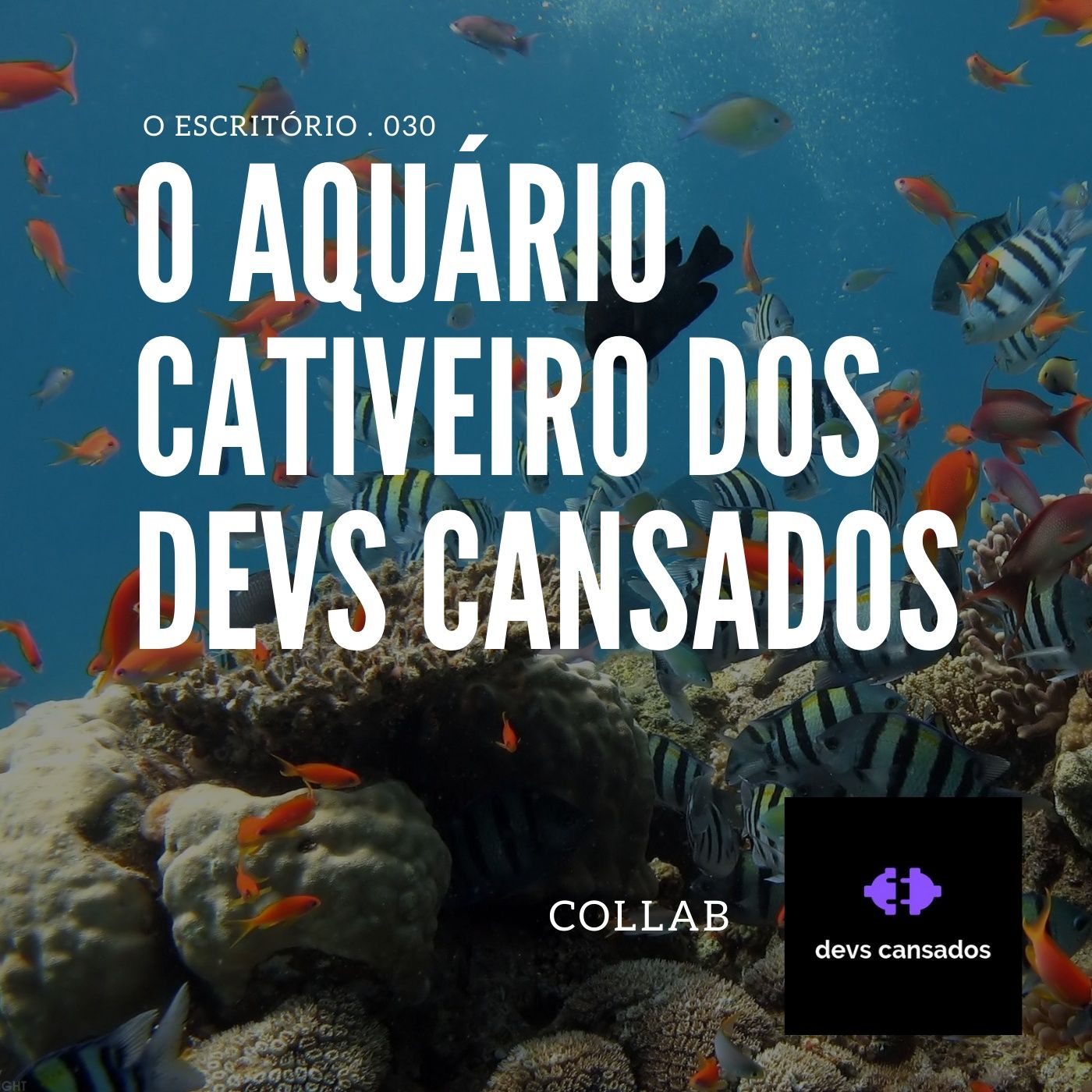 O Escritório