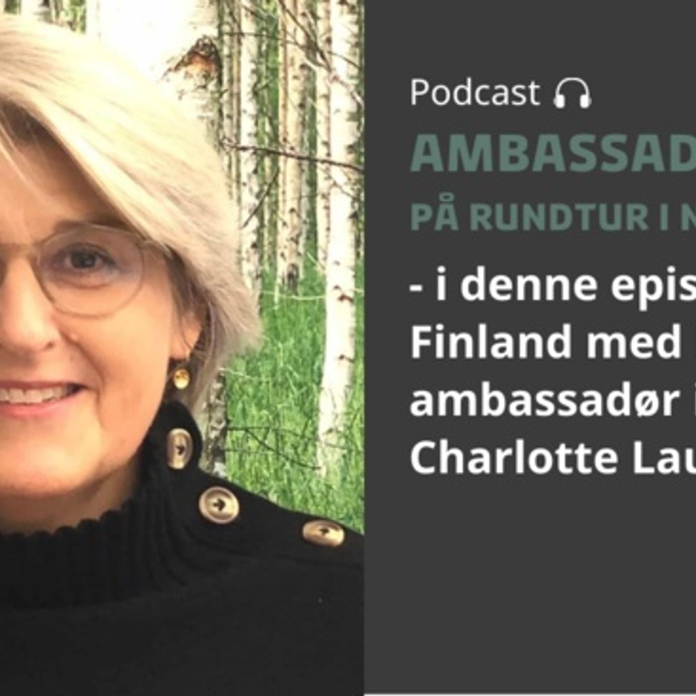 Ambassadørerne