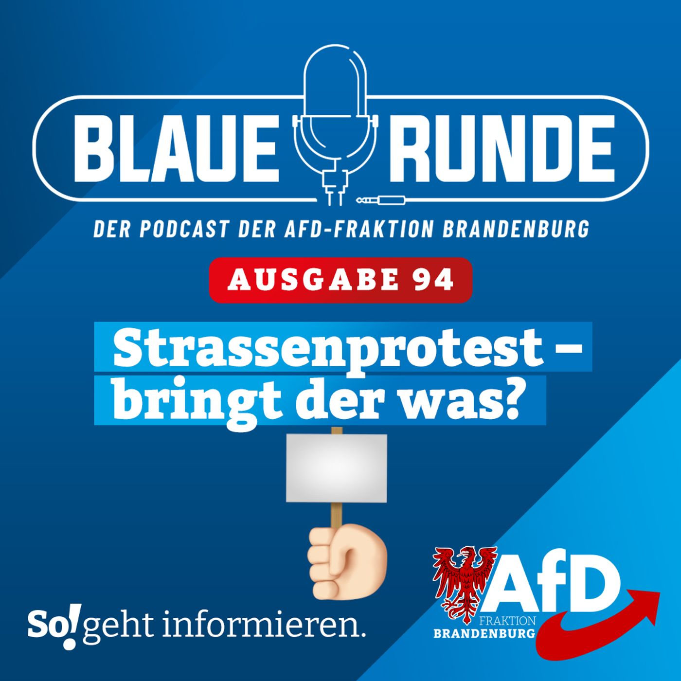 Strassenprotest - bringt der was? | Die Blaue Runde, Ausgabe 94/23 vom 17. November 2023 episode artwork