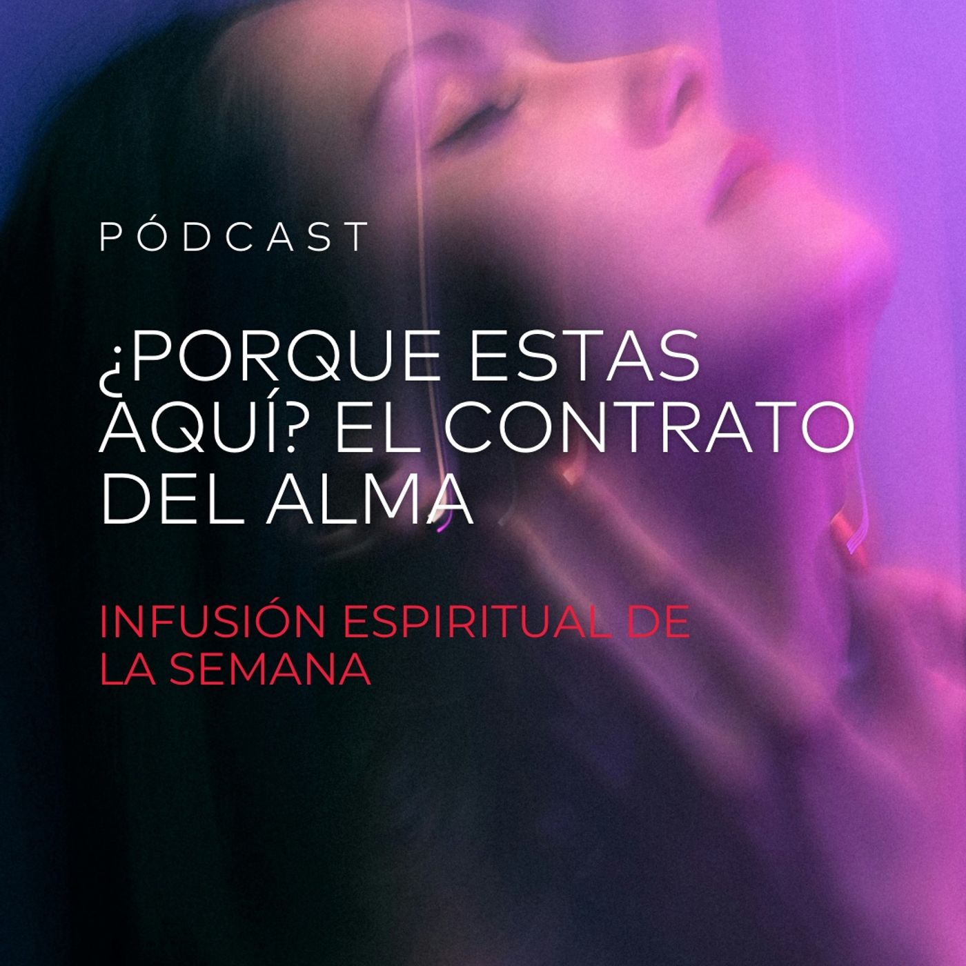 ¿Porque Estas Aquí? El Contrato Del Alma