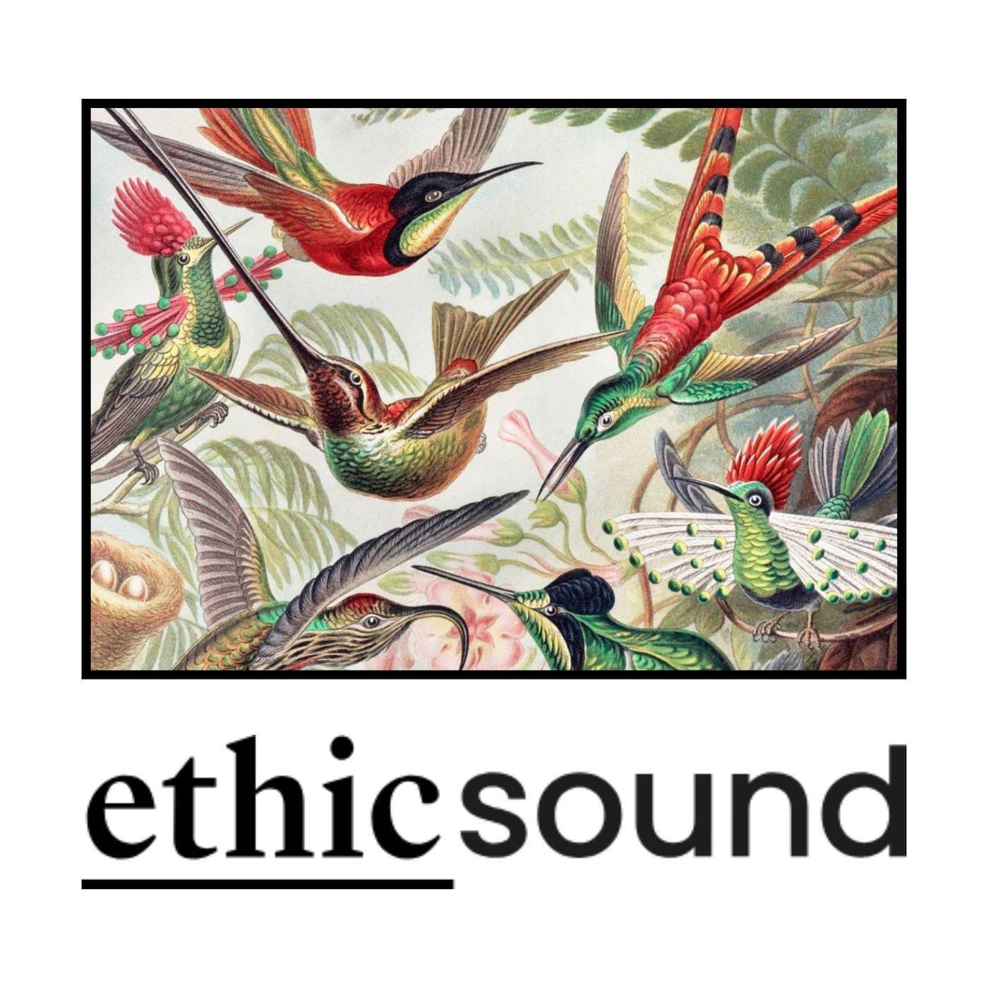 En busca de las especies perdidas