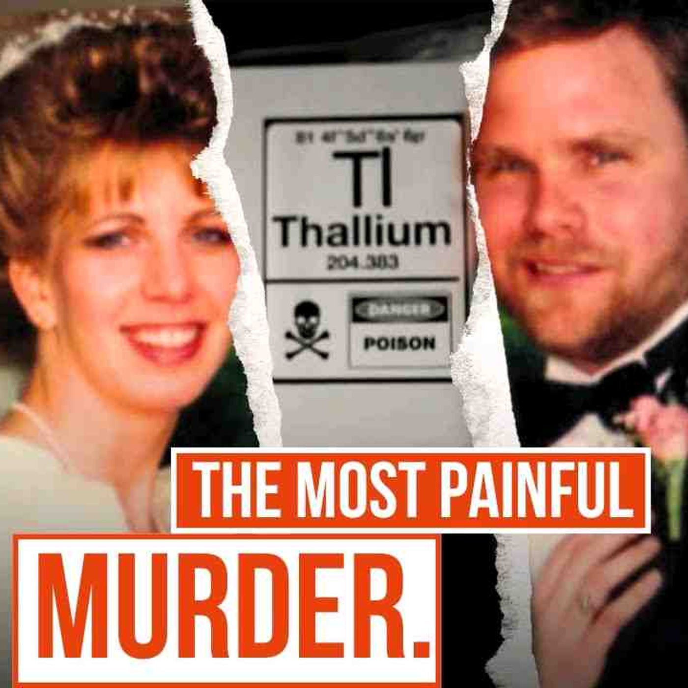 Did She Poison Her Daughter to Frame Her Husband_s Murder_ _ True Crime Documentary(MP3_160K) episode artwork