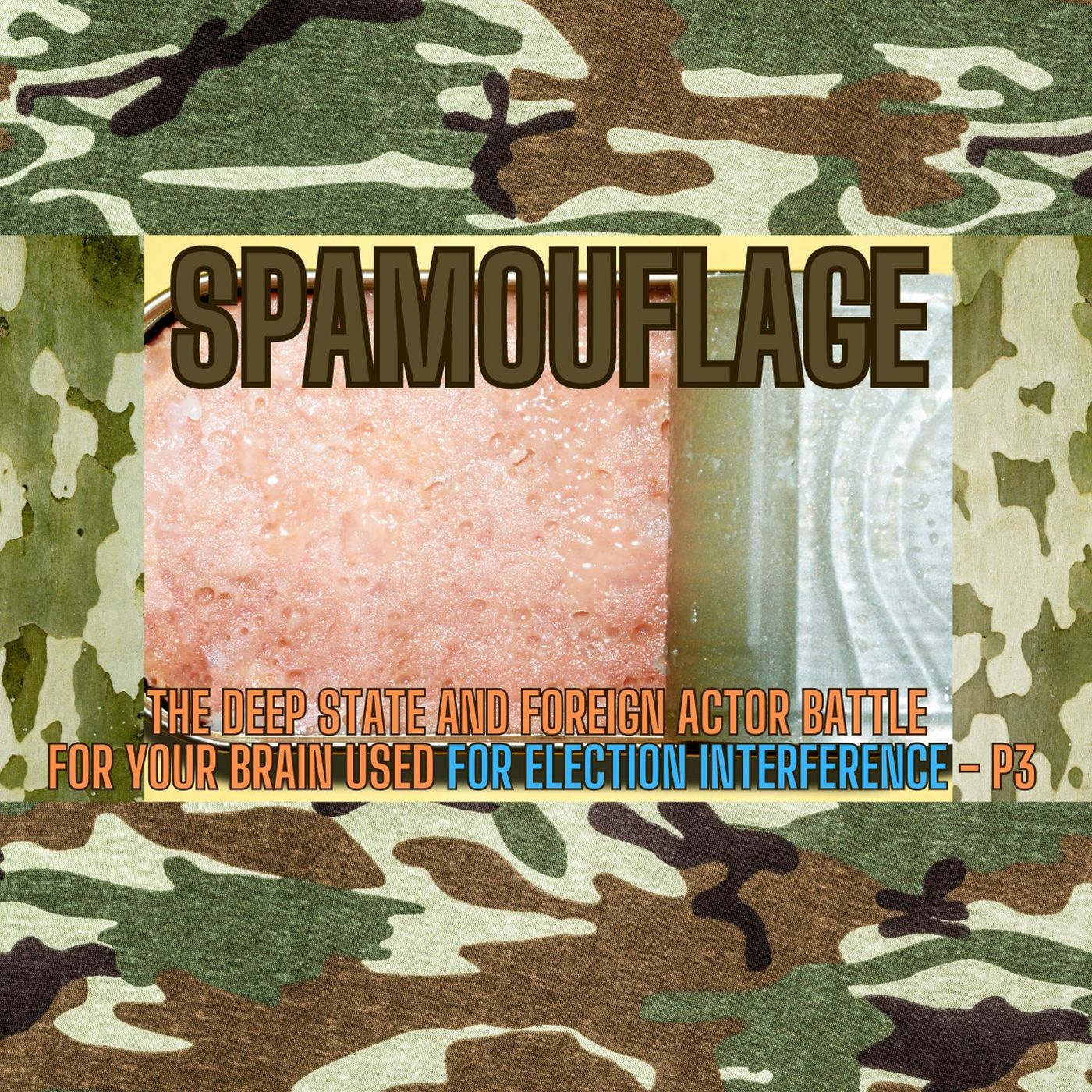 SPAMOUFLAGE - Election Interference Through Digital Disruption