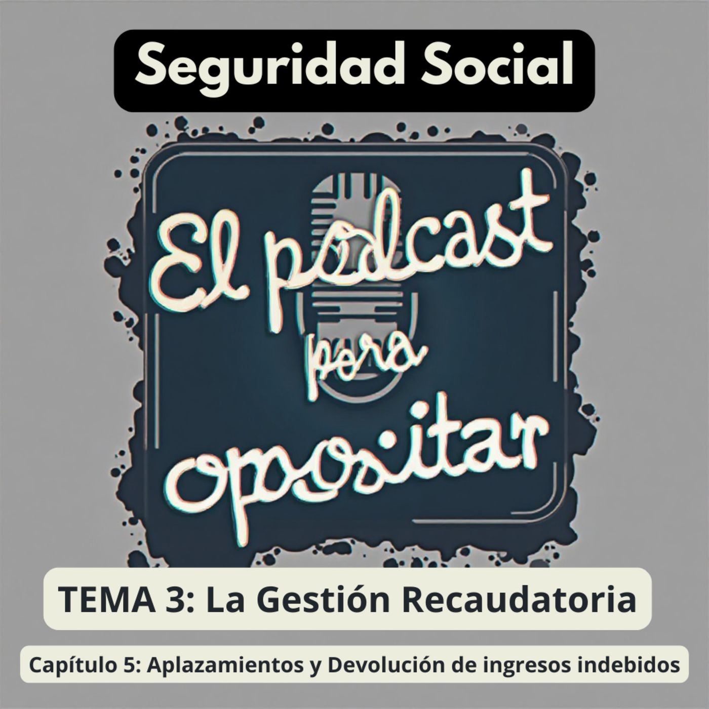 Oposiciones Seguridad Social. Tema 3: La Gestión Recaudatoria. Capítulo 5: Aplazamientos y Devolución de ingresos indebidos episode artwork