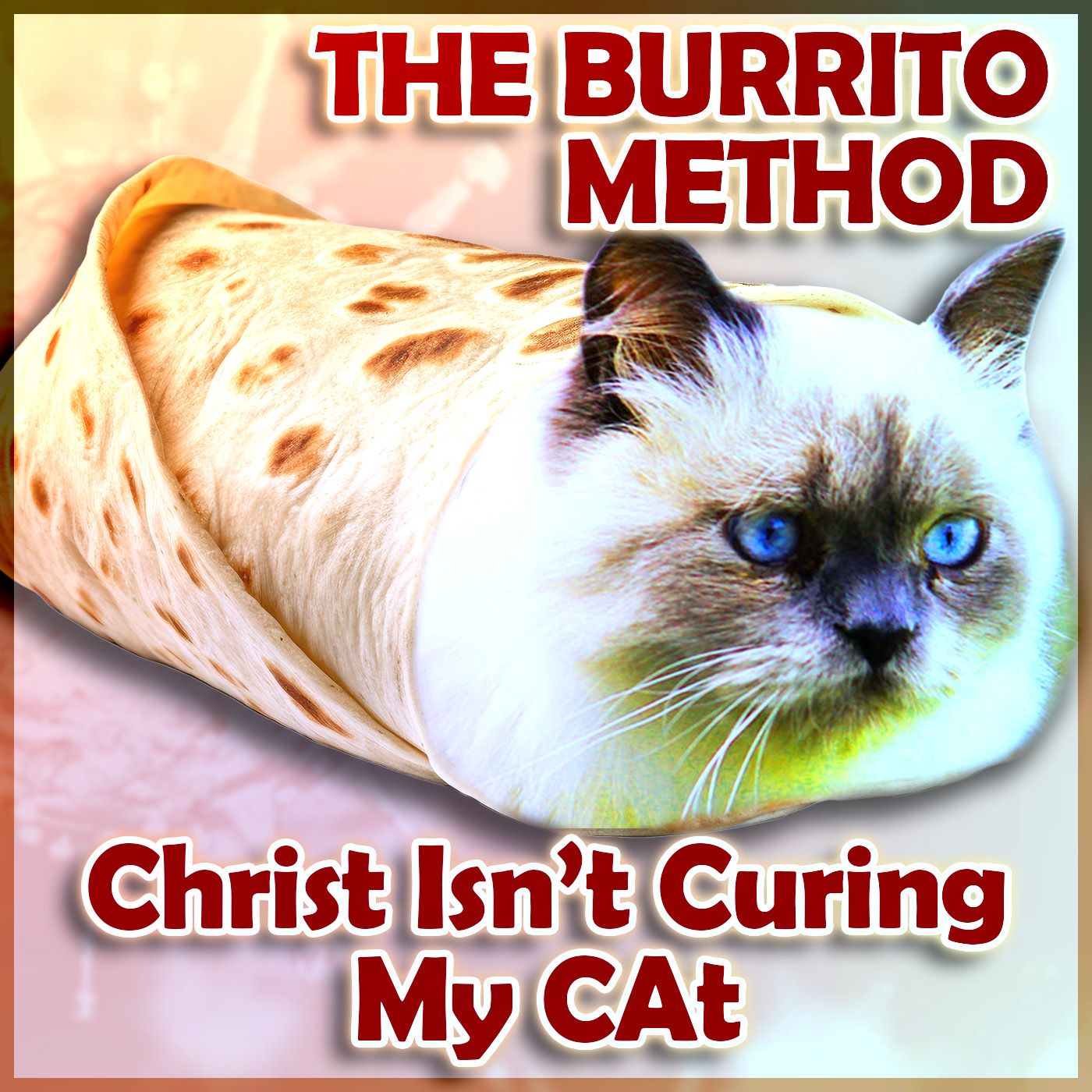 The Burrito Method: Christ Isn’t Curing My Cat