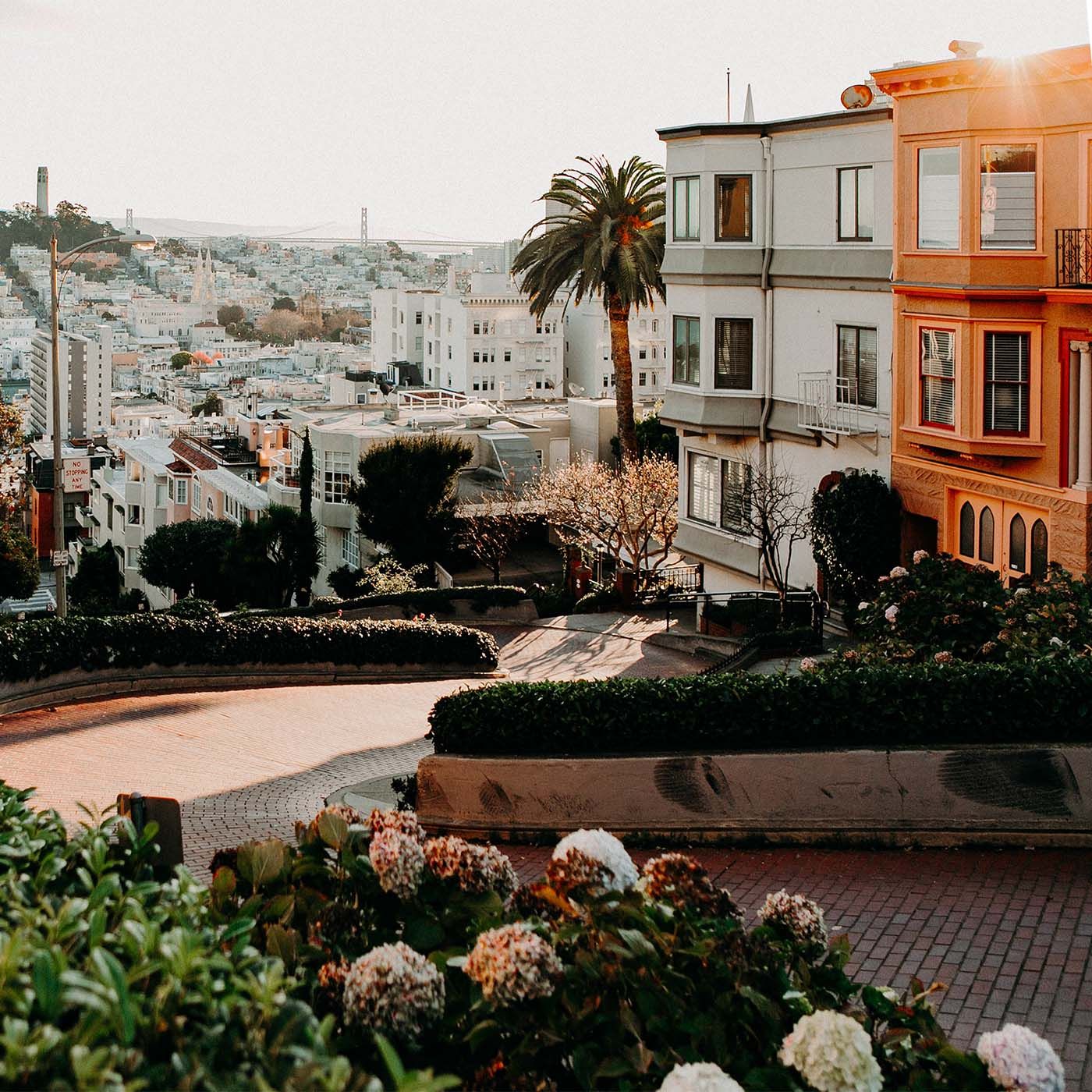 The Bodies Under San Francisco