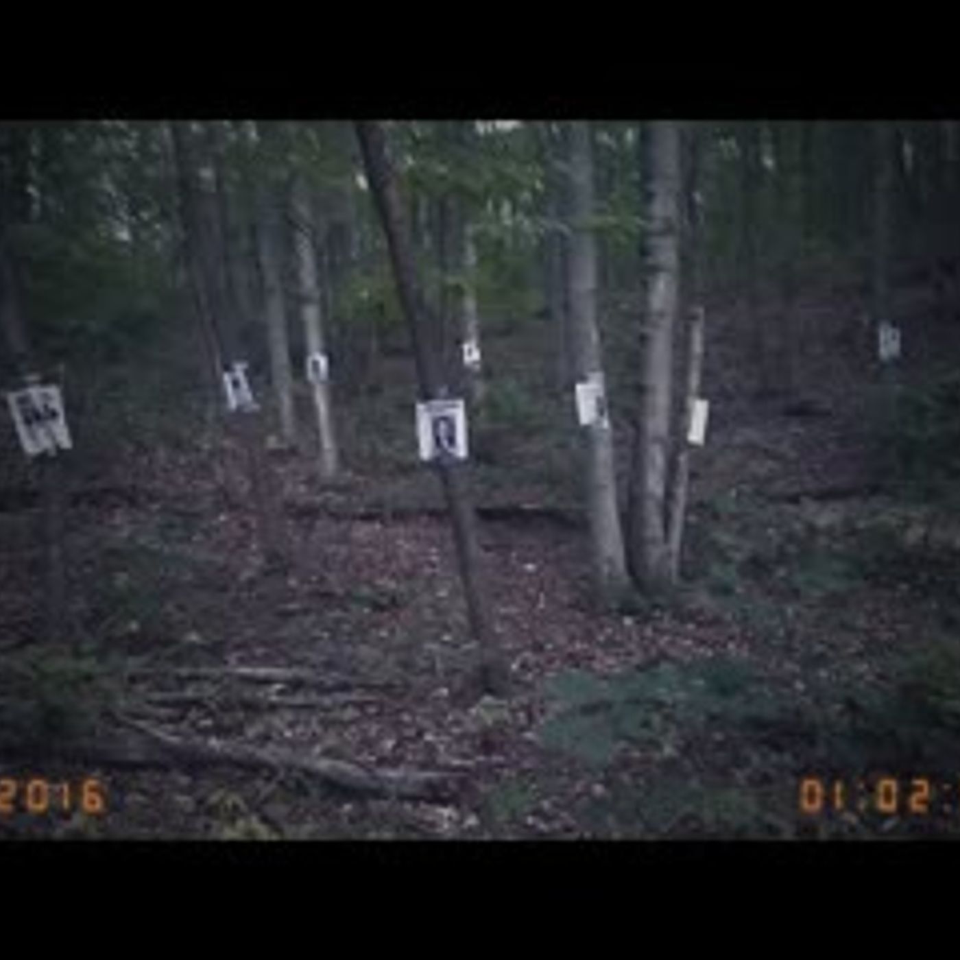6 Most Disturbing Forest Findings Caught on Camera episode artwork
