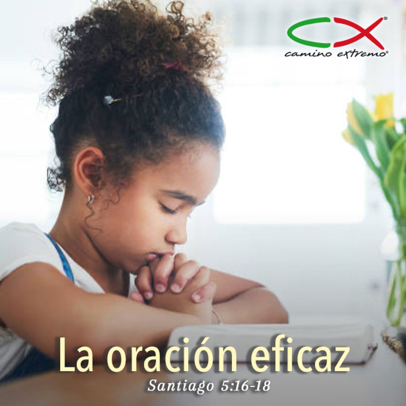 Oración 15 de agosto (La oración eficaz) episode artwork