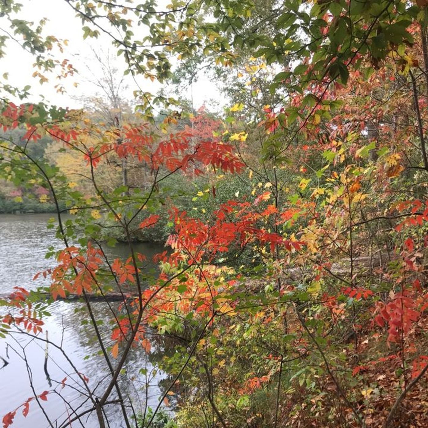 Great Lie - GOD Truth - Sin Lies and Deception - Redux