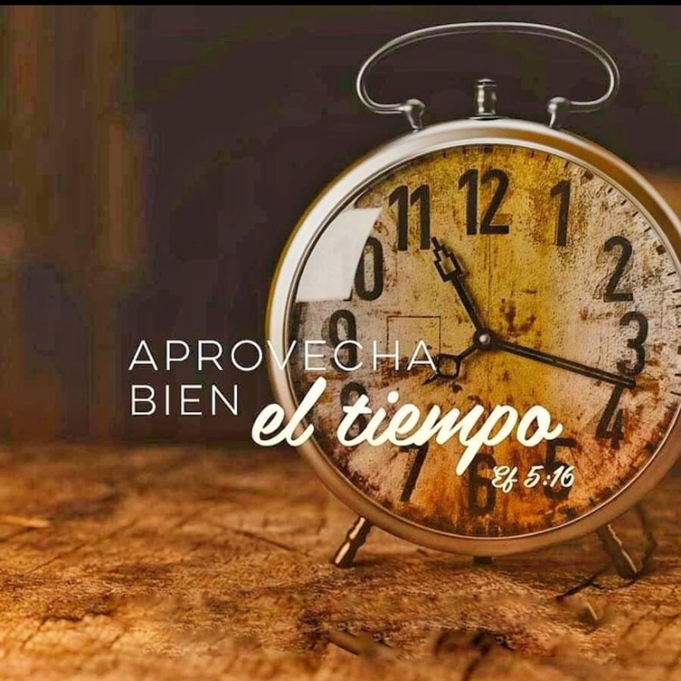 Su delicia
