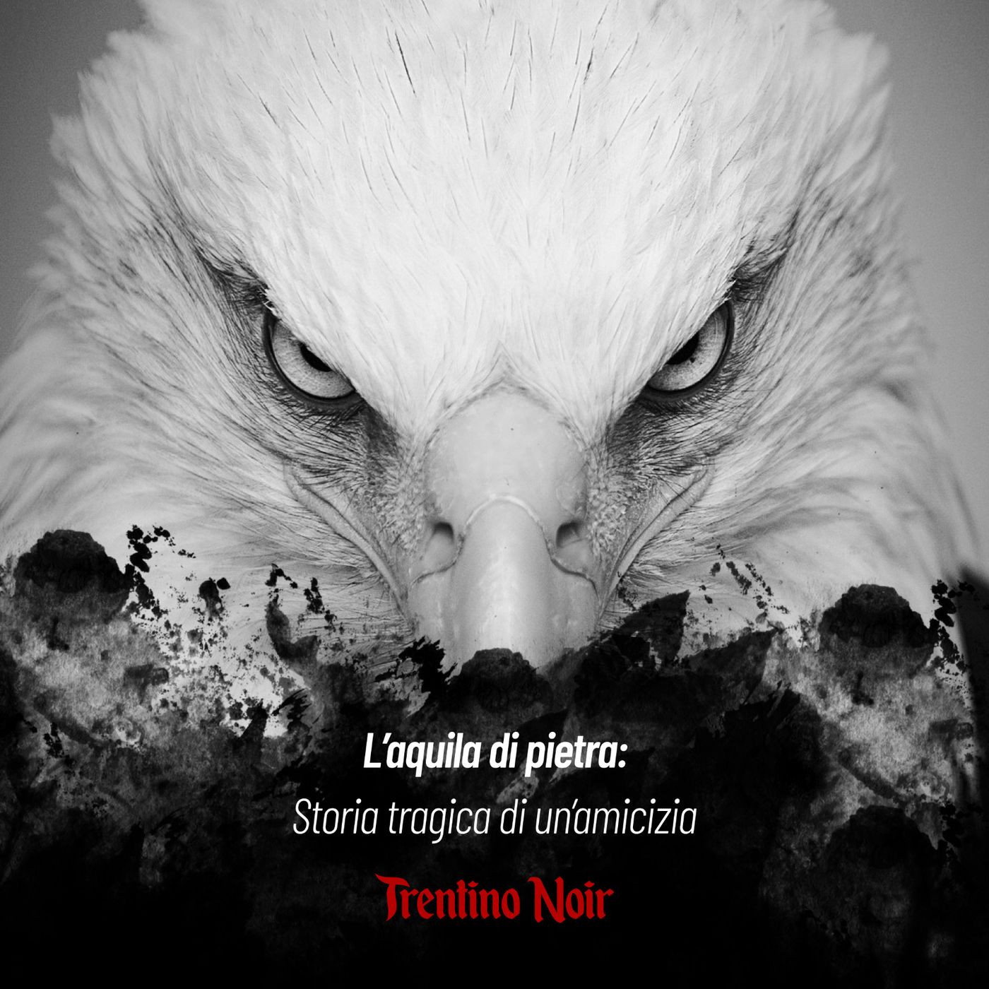 Trentino Noir
