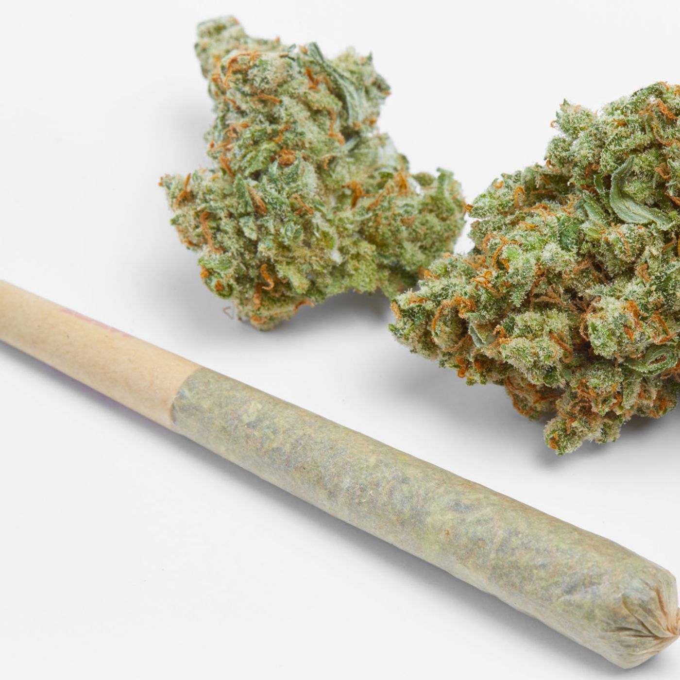 Black American News Network