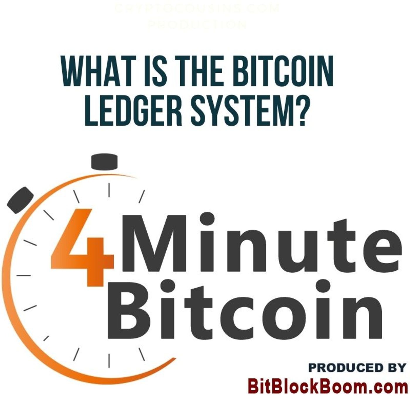 What Is The Bitcoin Ledger System?