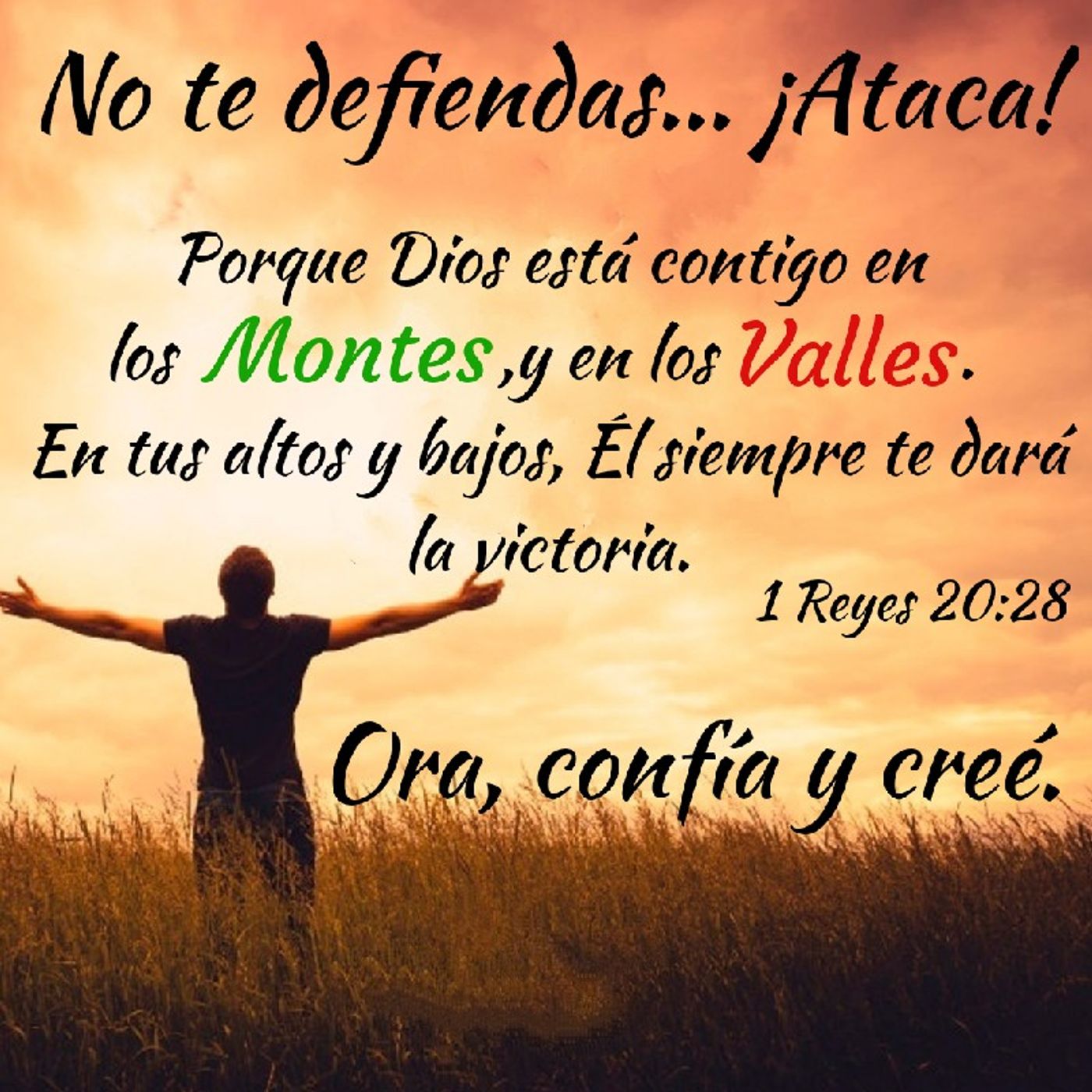 Reflexión Oasis Espiritual.  E. Lizcano
