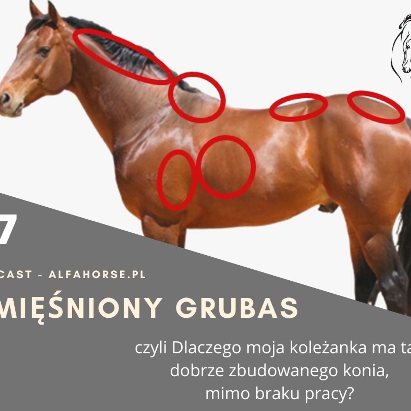 Podcast 17 Umięśniony Grubas, czyli małe końskie Oszustwo