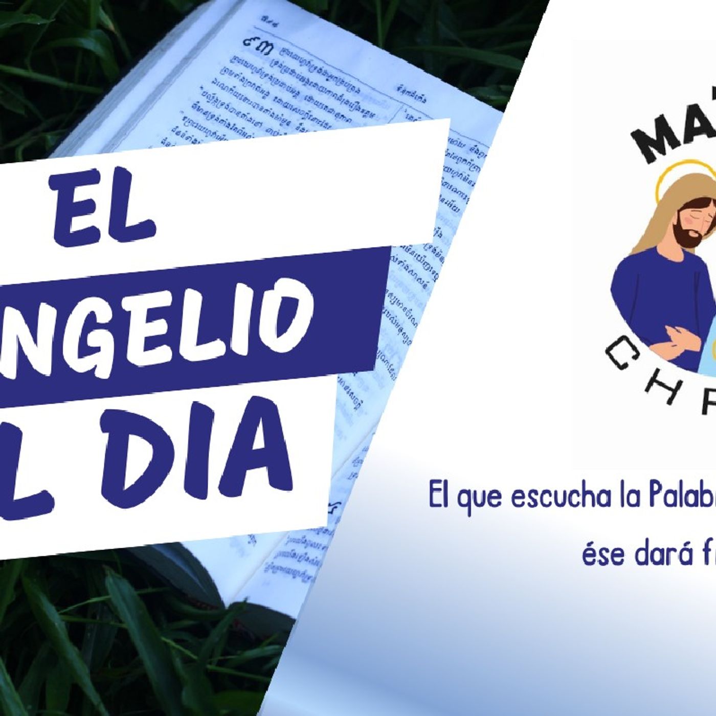 Mt 13, 18-23 • El que escucha la Palabra y la entiende, ése dará fruto episode artwork