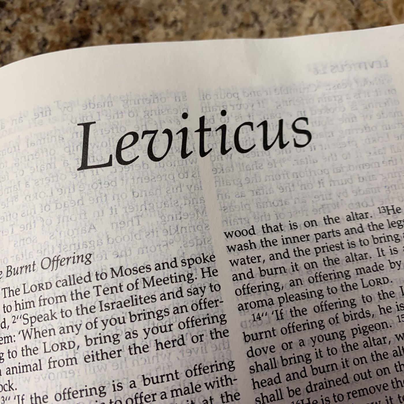 S4 Ep. 32 – Leviticus 6-10 episode artwork