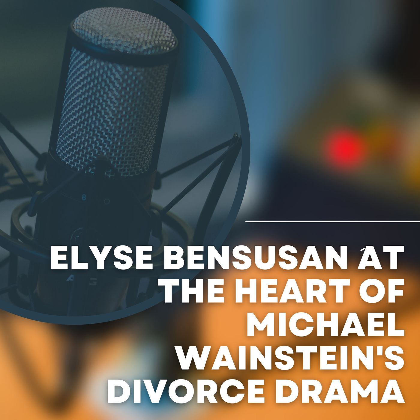 Elyse Bensusan at the Heart of Michael Wainstein's Divorce Drama episode artwork