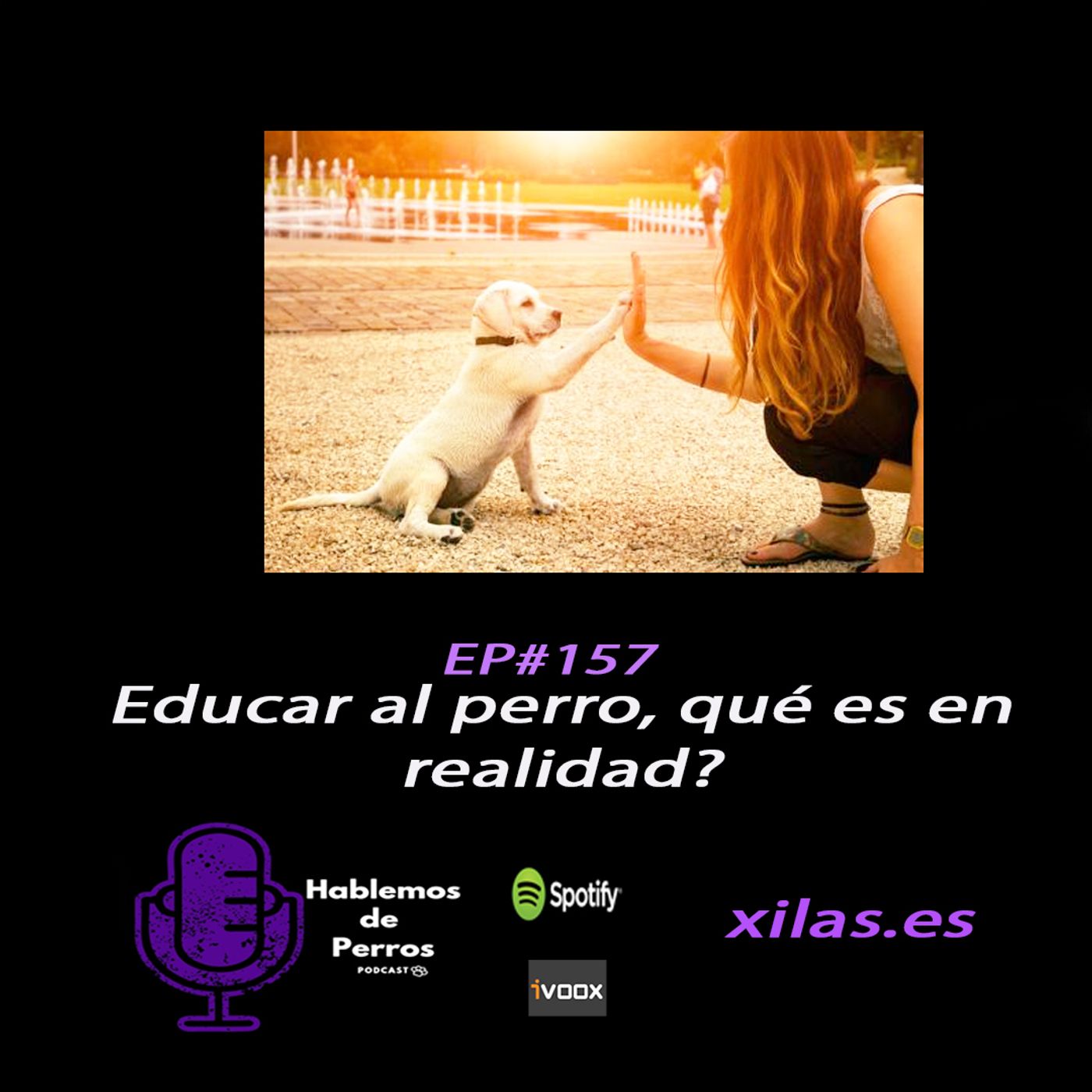 Hablemos de perros