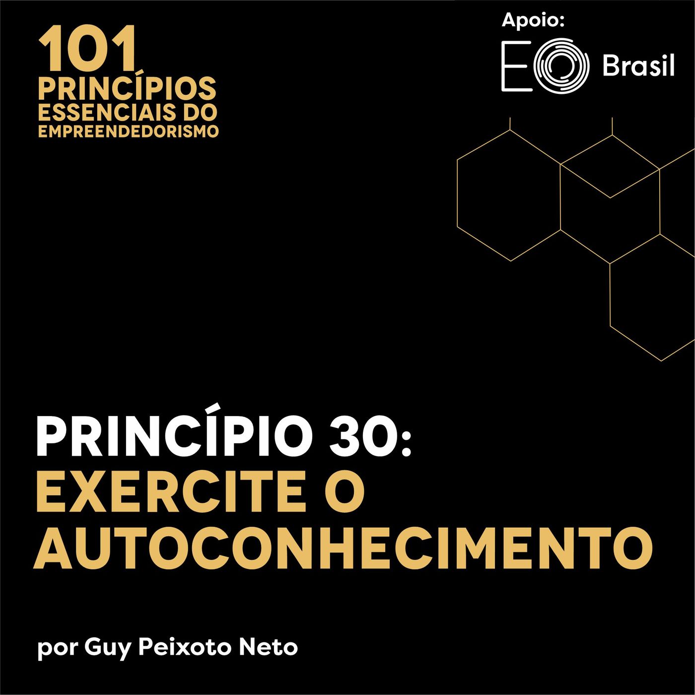 101 Princípios Essenciais do Empreendedorismo