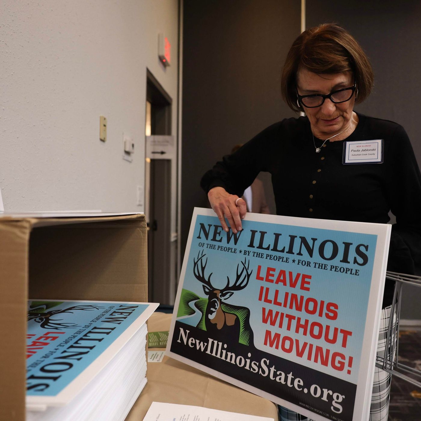 The growing movement to secede from Illinois and become the 51st state episode artwork