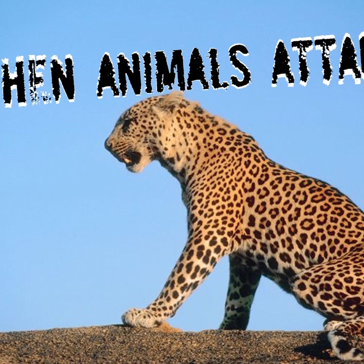 when animals attack episode artwork