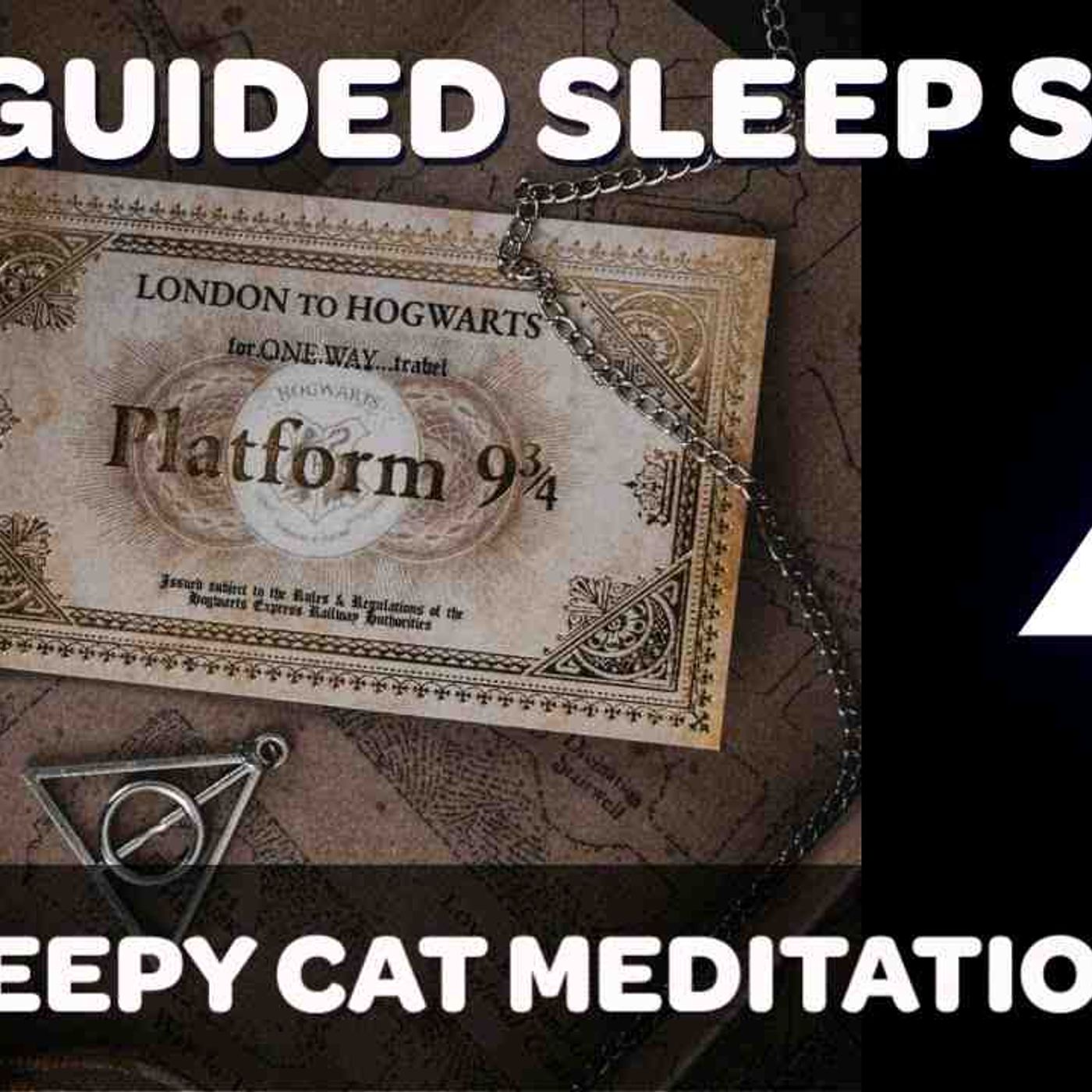 Floo Powder _ Platform 9 3_4 - Harry Potter Inspired Sleep Story (_Yer a Wizard_) Episode 4 of episode artwork