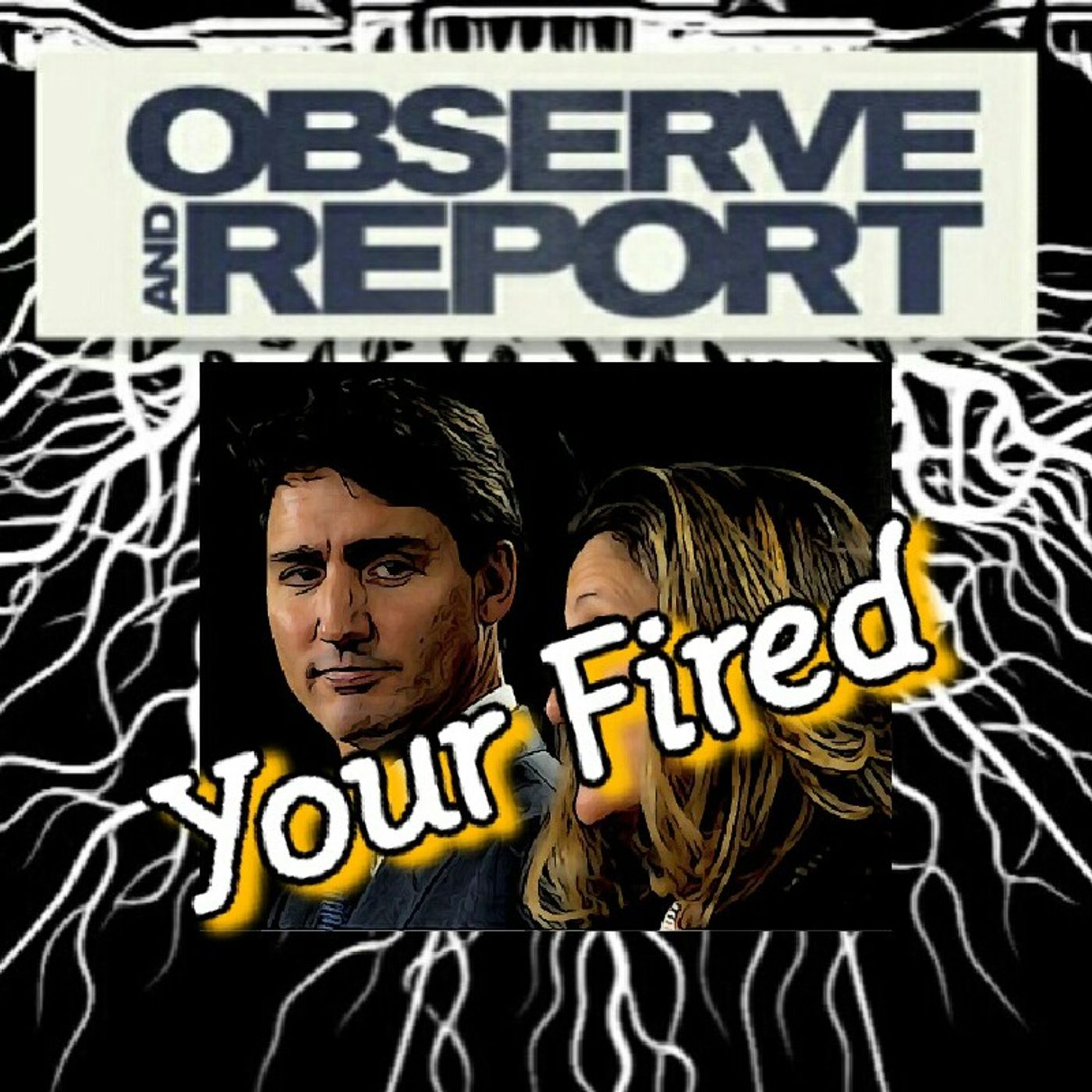 Observe And Report Report