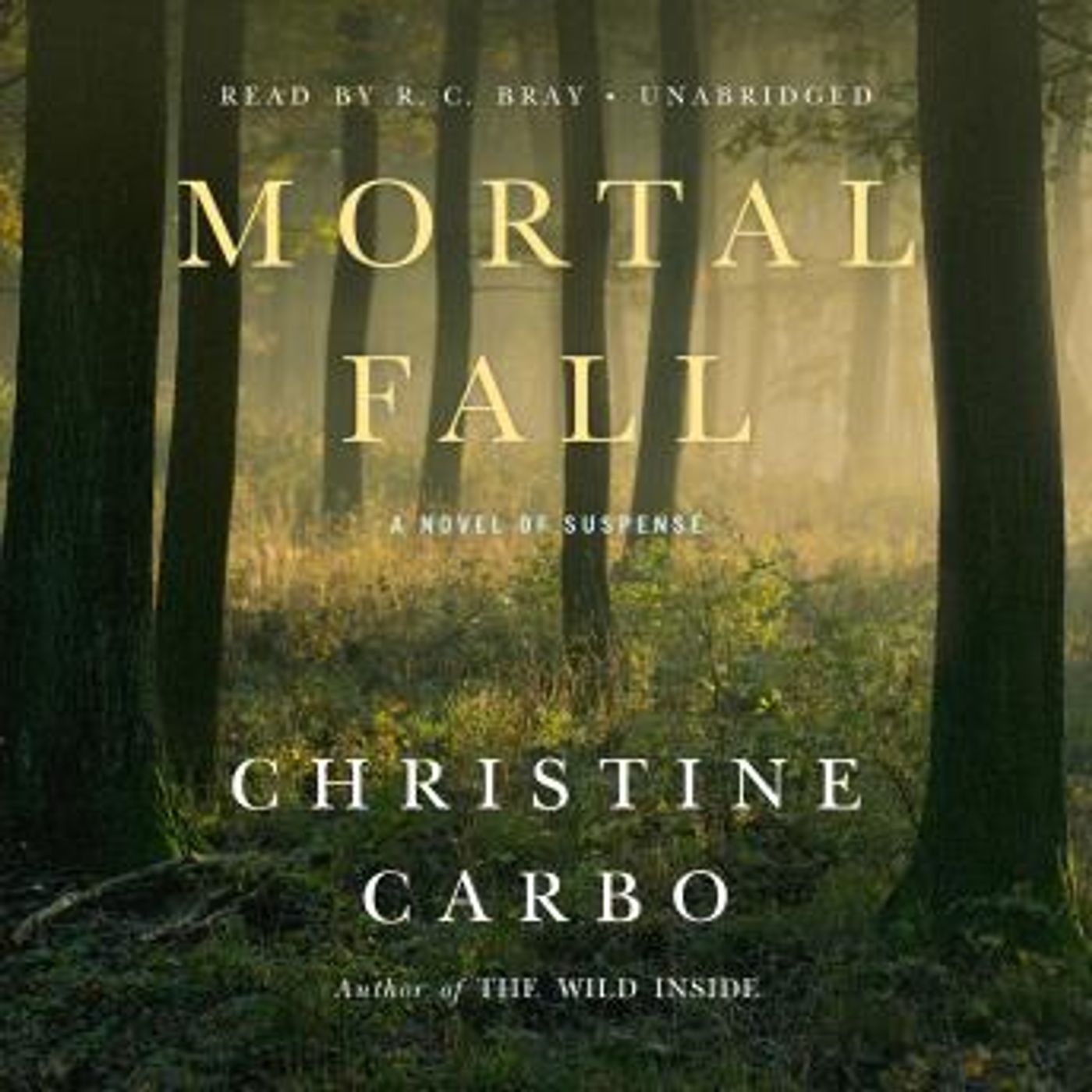 Full Trial Audiobooks in Mystery, Thriller & Horror, Police & Detective