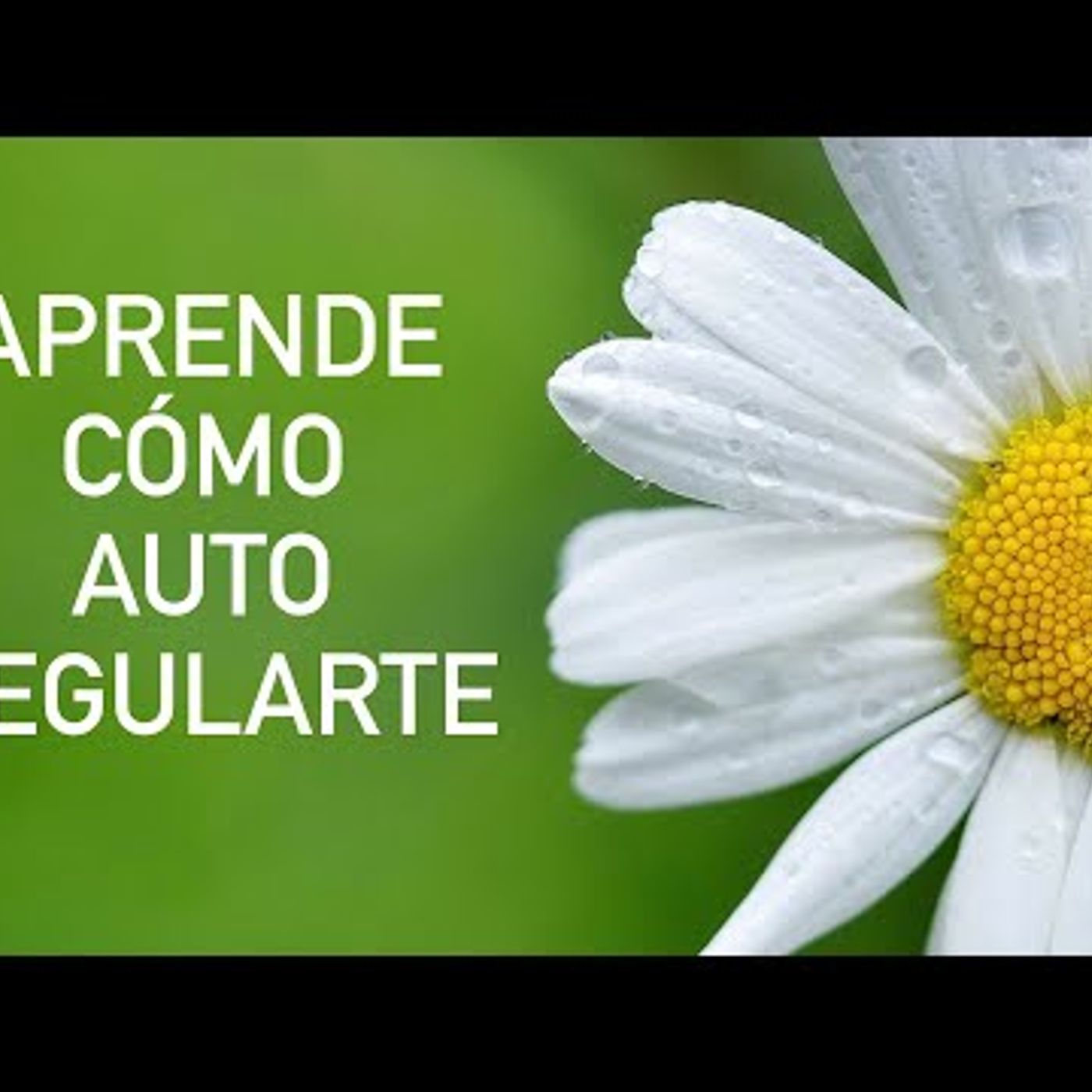 160. Meditación guiada para GESTIONAR LOS PENSAMIENTOS NEGATIVOS Tristeza, Ansiedad, Miedo, Dolor