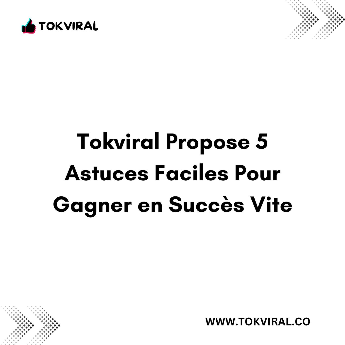 TokViral_Décrypté_Cinq_Piliers_Pour_une_Croissance_Durable_Sans episode artwork