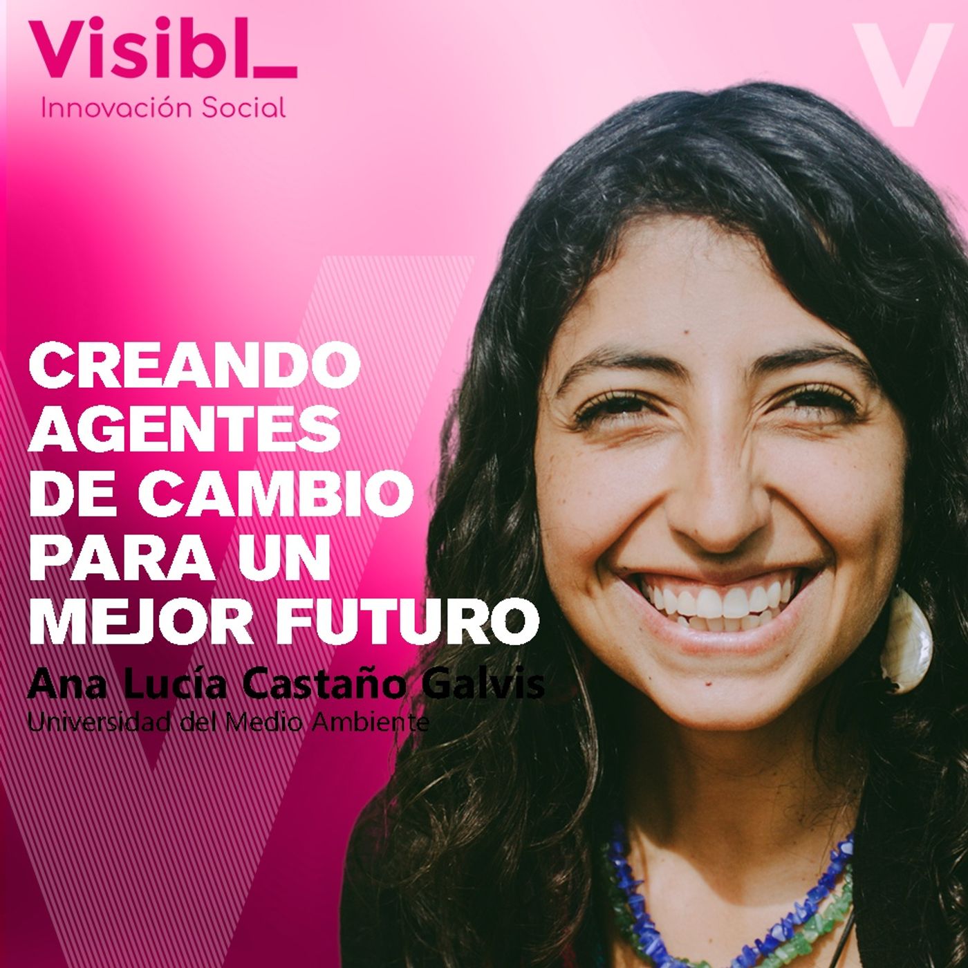 Visibl_  Innovación Social
