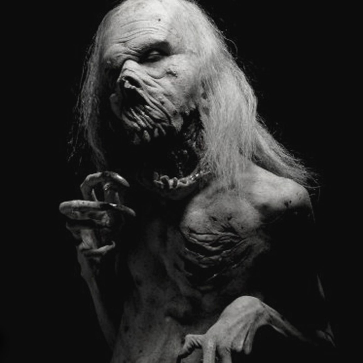 Fuimos Aterrados Por Criaturas En El Bosque De La Primavera Historias De Terror - REDE