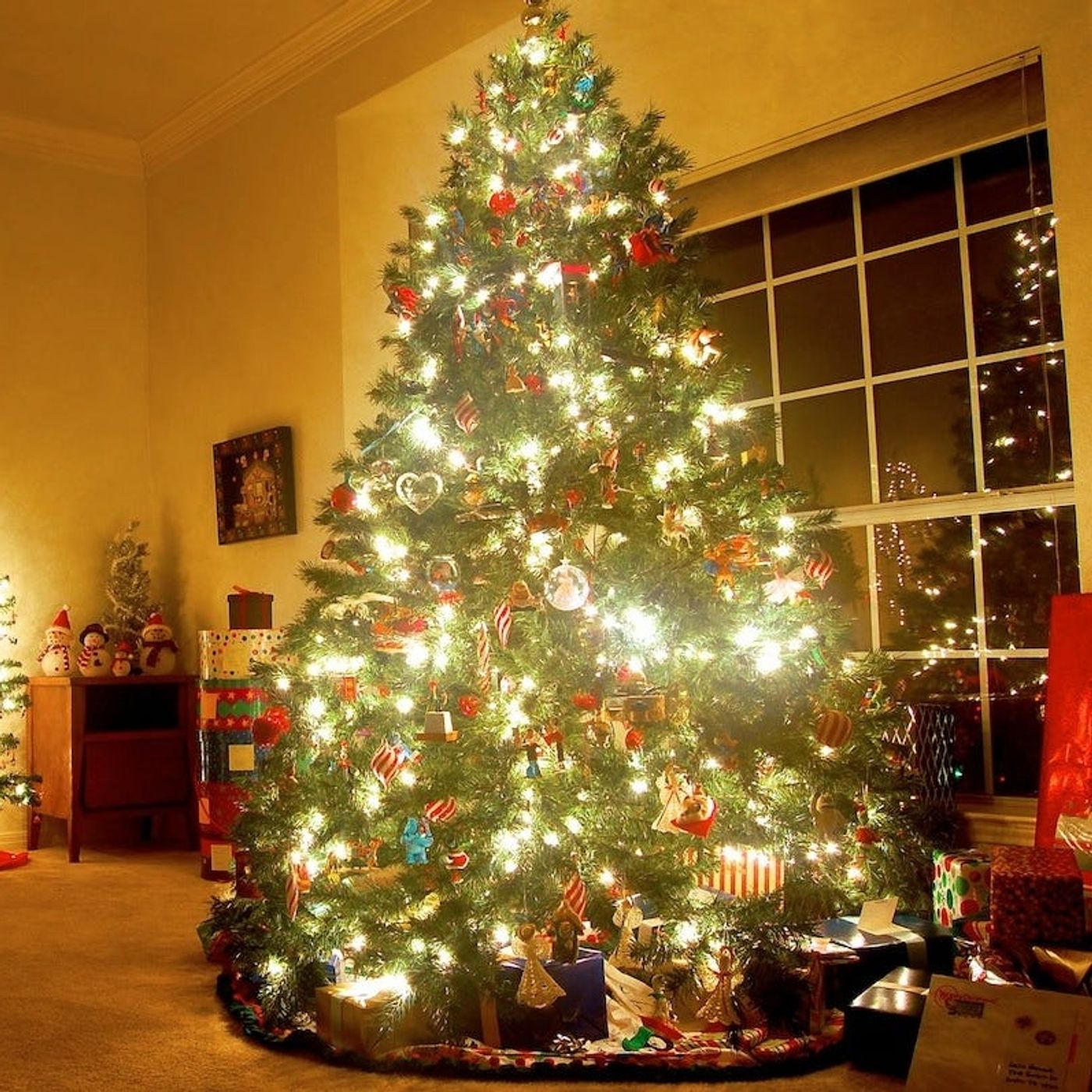 CFB Playoff Rankings, Herman Moore's Stafford Comments, Lions Players Defend Defense, Putting Up Christmas Trees, & Around the NFL episode artwork