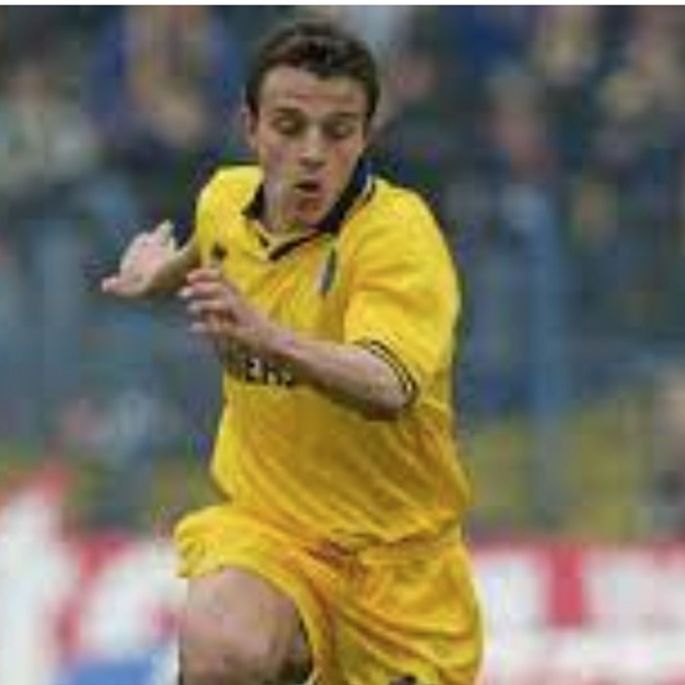#lopinione TuttoModenaWeb