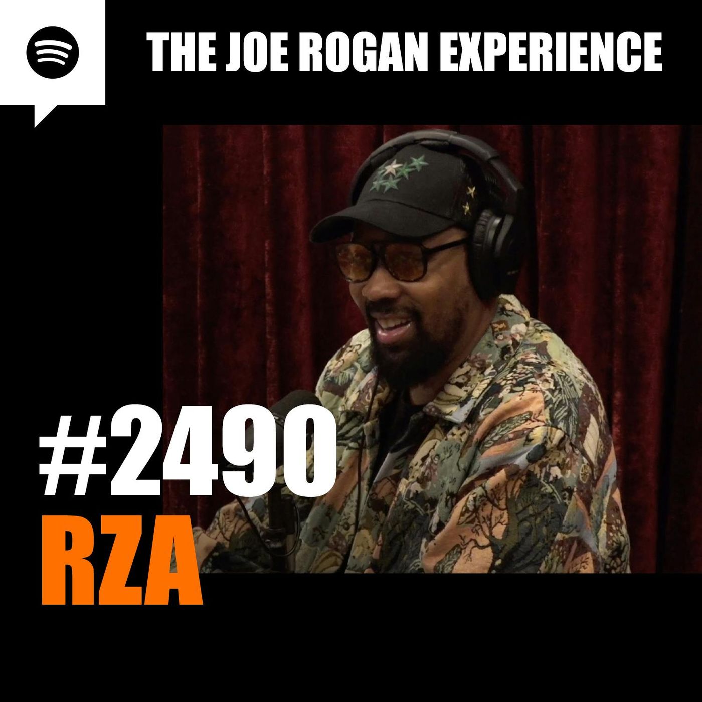 #2490 - RZA