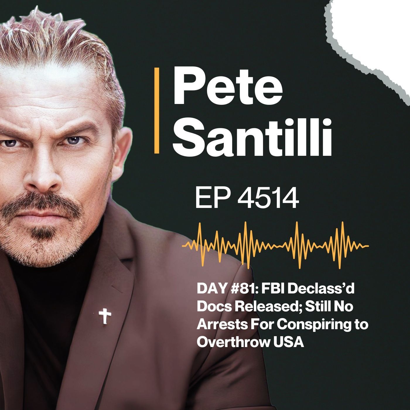 DAY #81: FBI Declass’d Docs Released; Still No Arrests For Conspiring to Overthrow USA [EP 4514-8AM-HR 2] episode artwork
