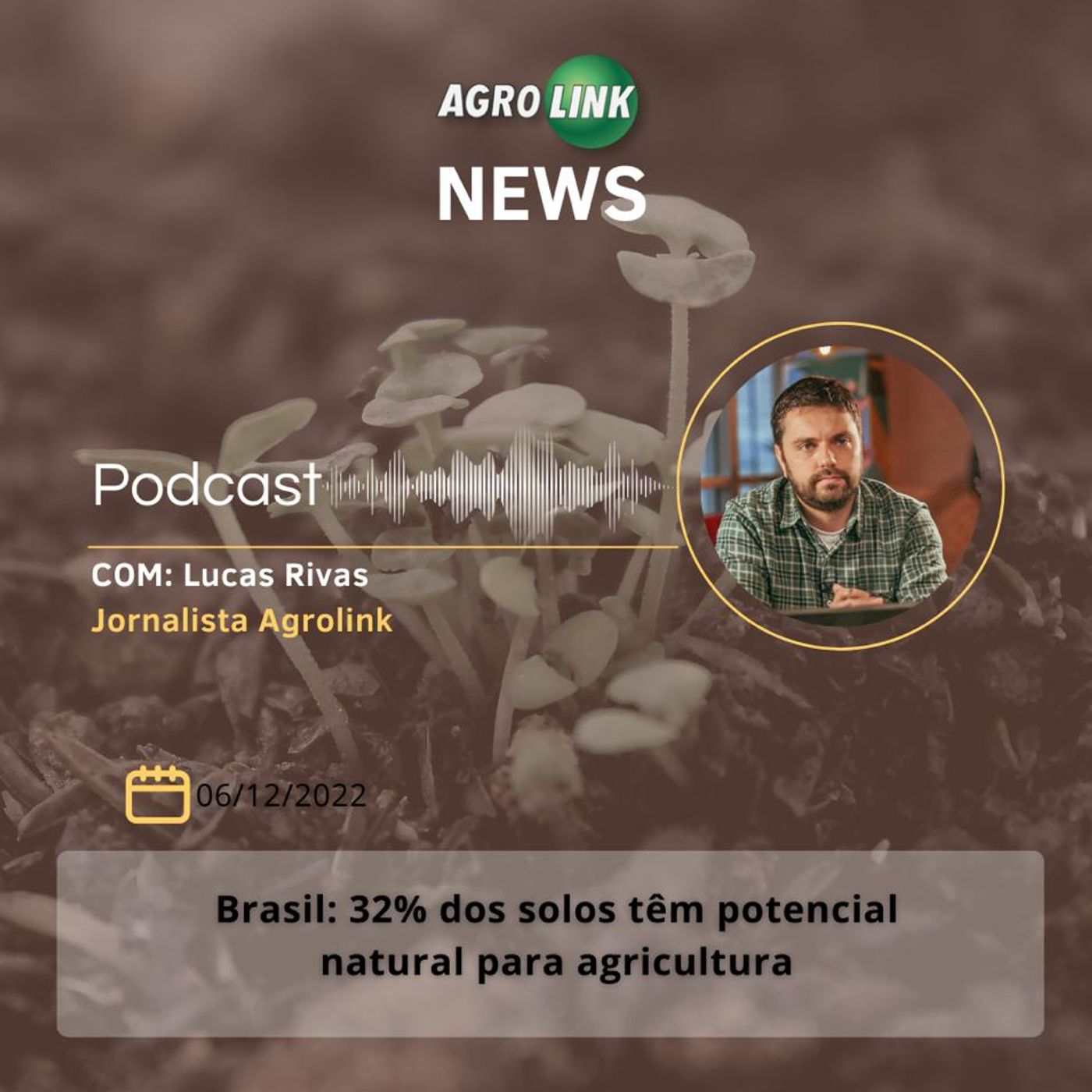 Safra de café do Paraná tem redução de 40% em 2022 episode artwork
