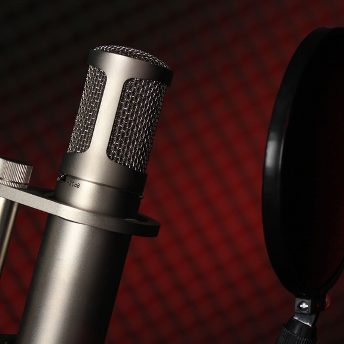 Voiceover Sermons with Terry Daniel