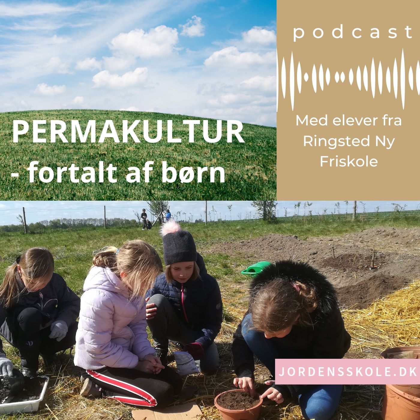 PERMAKULTUR - fortalt af børn af JORDENS SKOLE