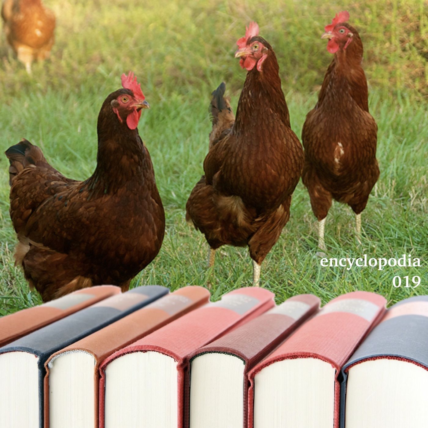 Encyclopodia