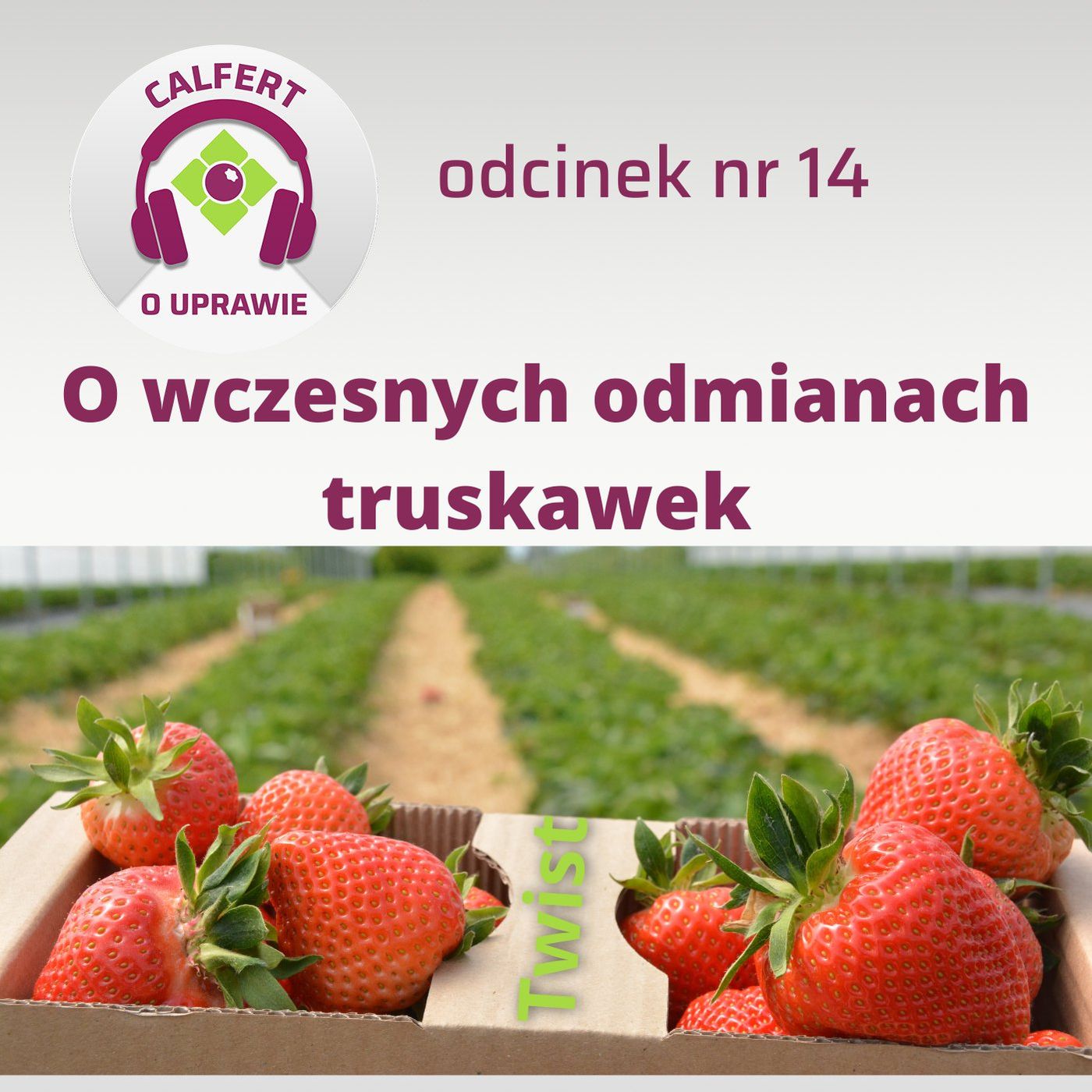 14. O wczesnych odmianach truskawek.