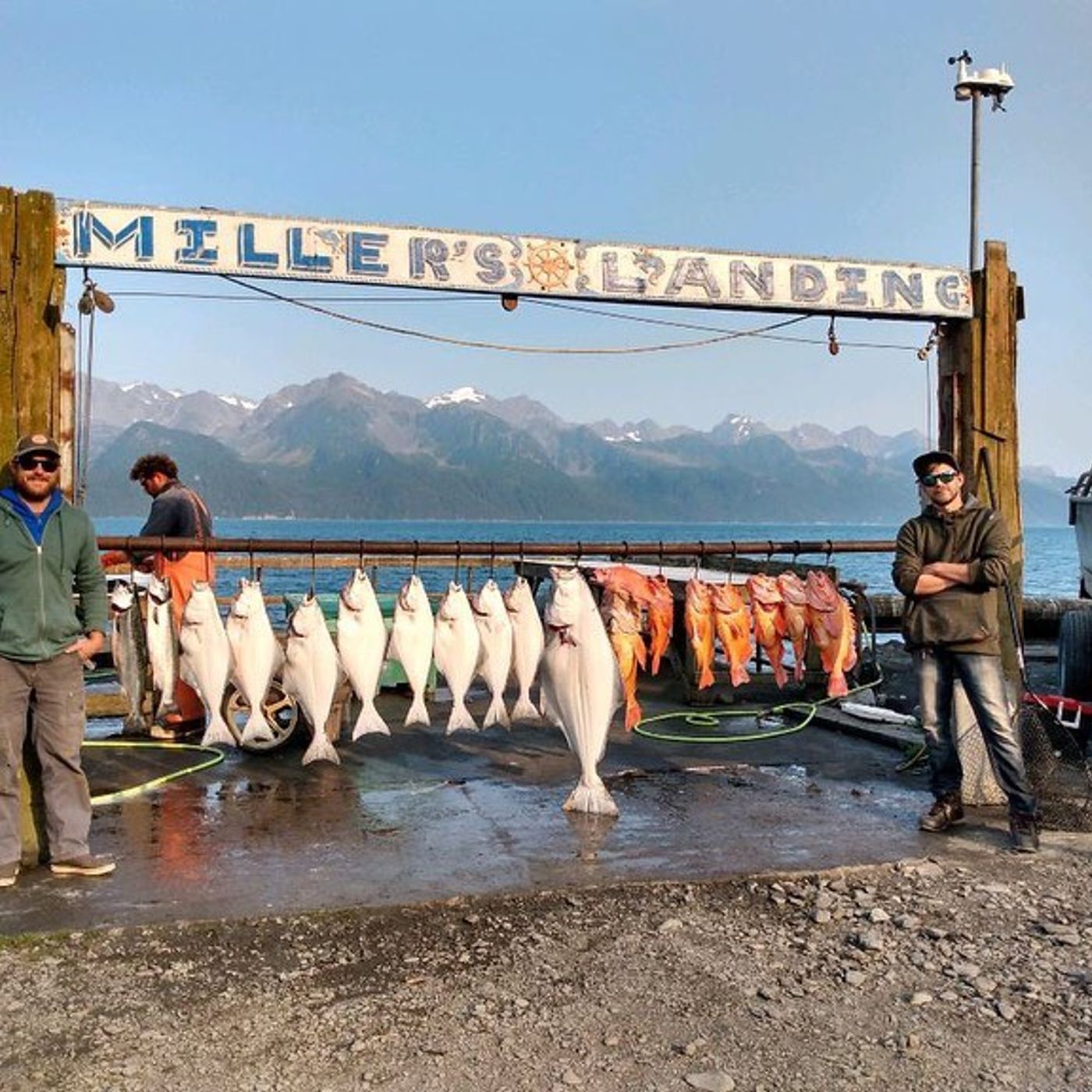 Justin Carpentar - Fishing Report From Alaska episode artwork