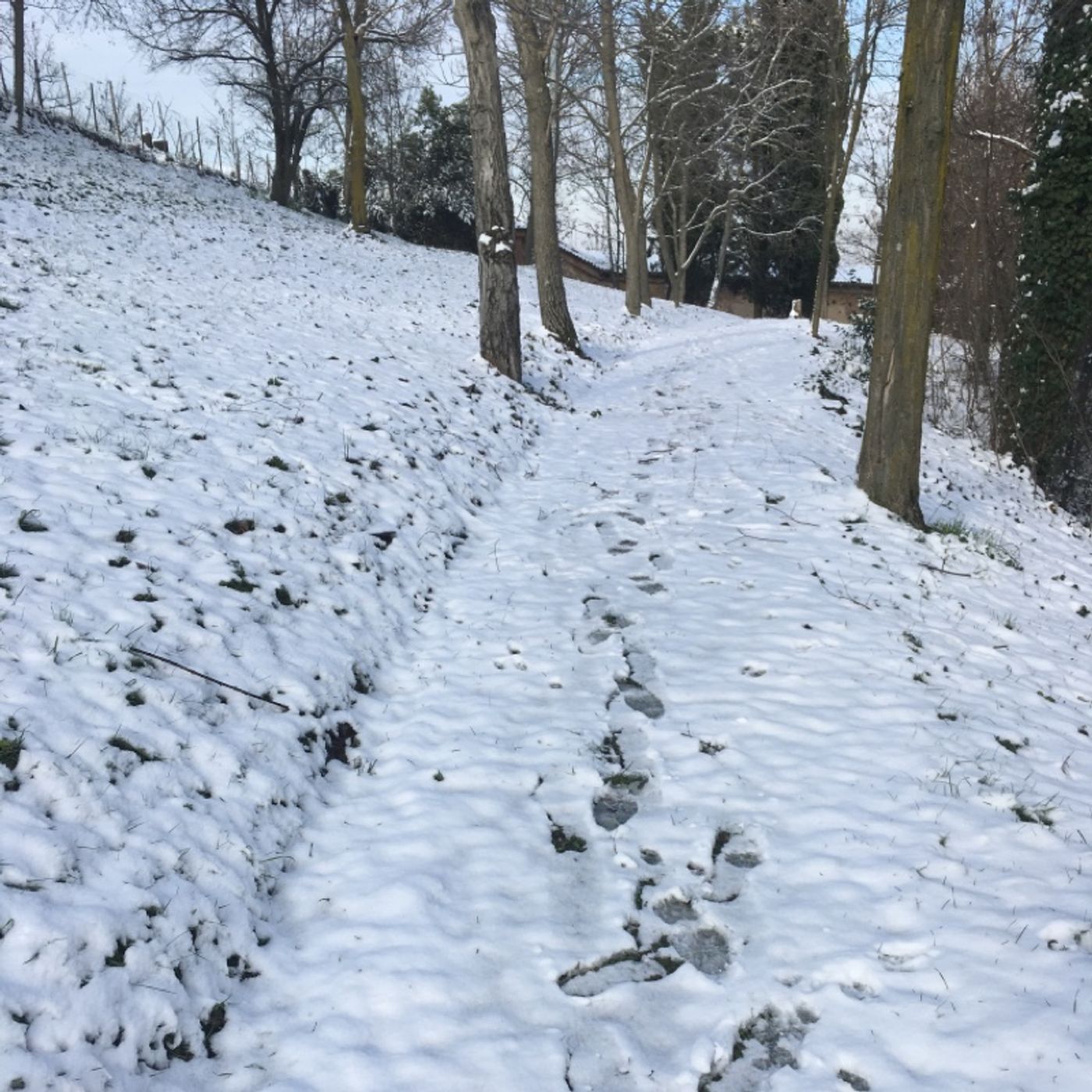 Passo dopo Passo