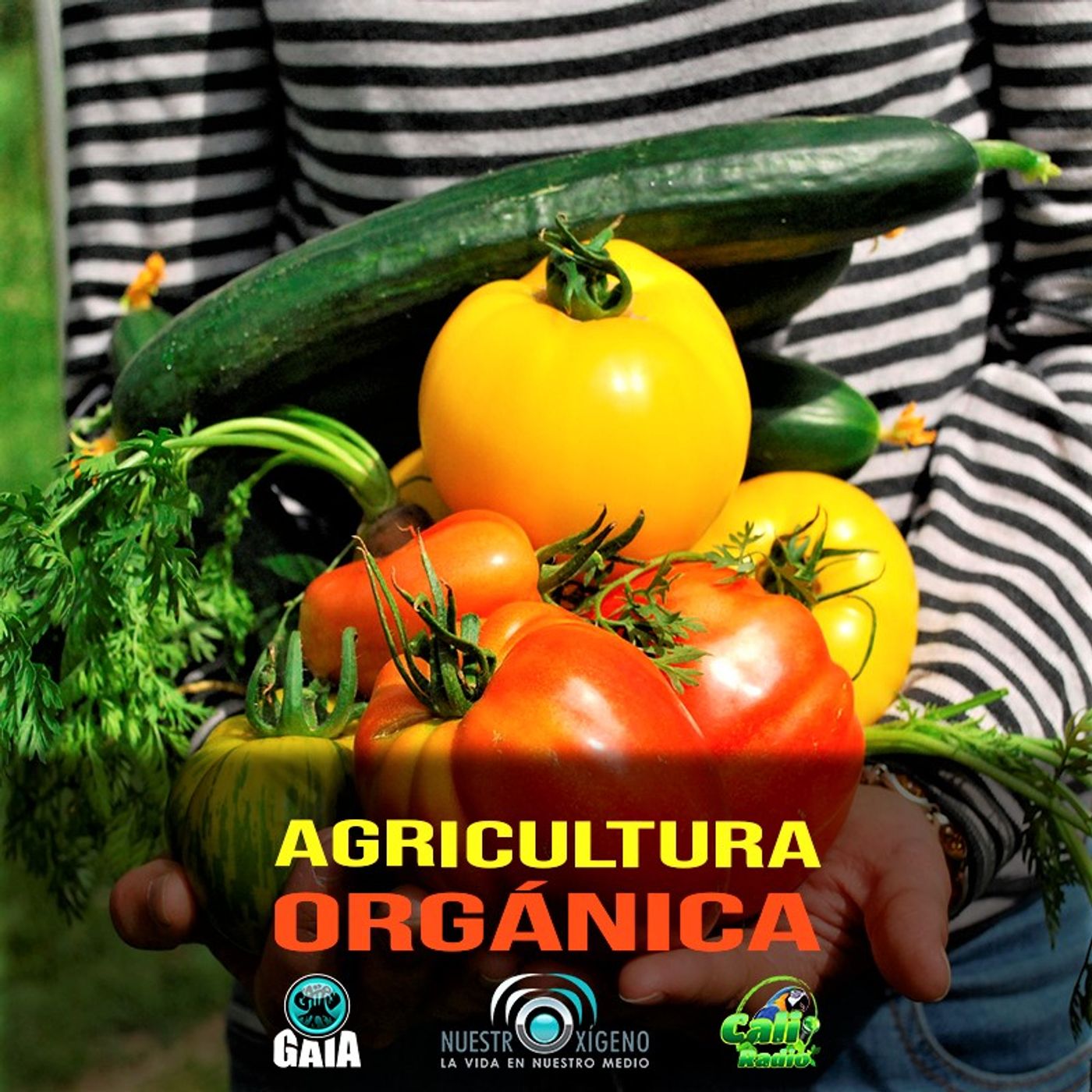 2022 Nuestro Oxigeno 03- Marzo