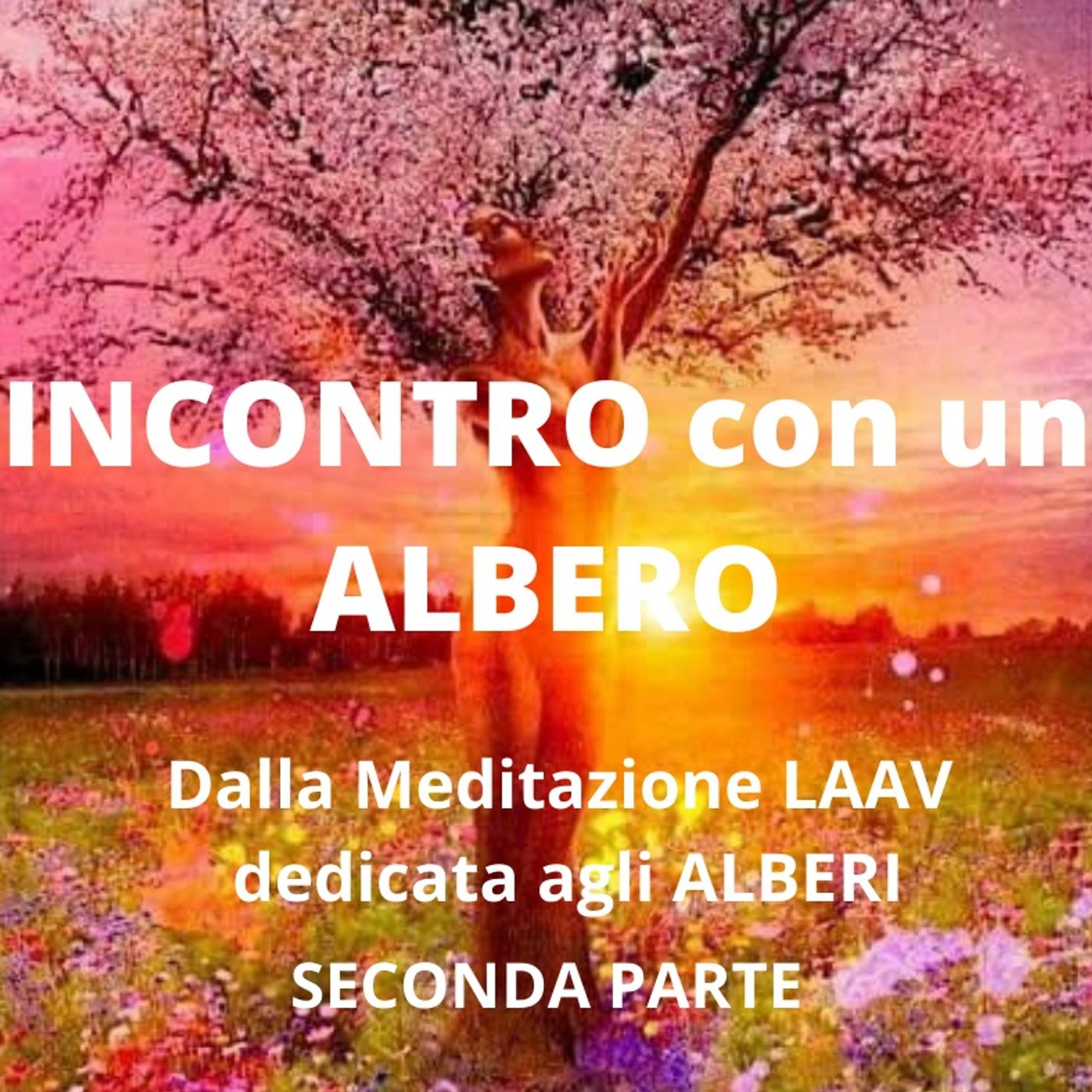 Un Sentiero per l\'Anima