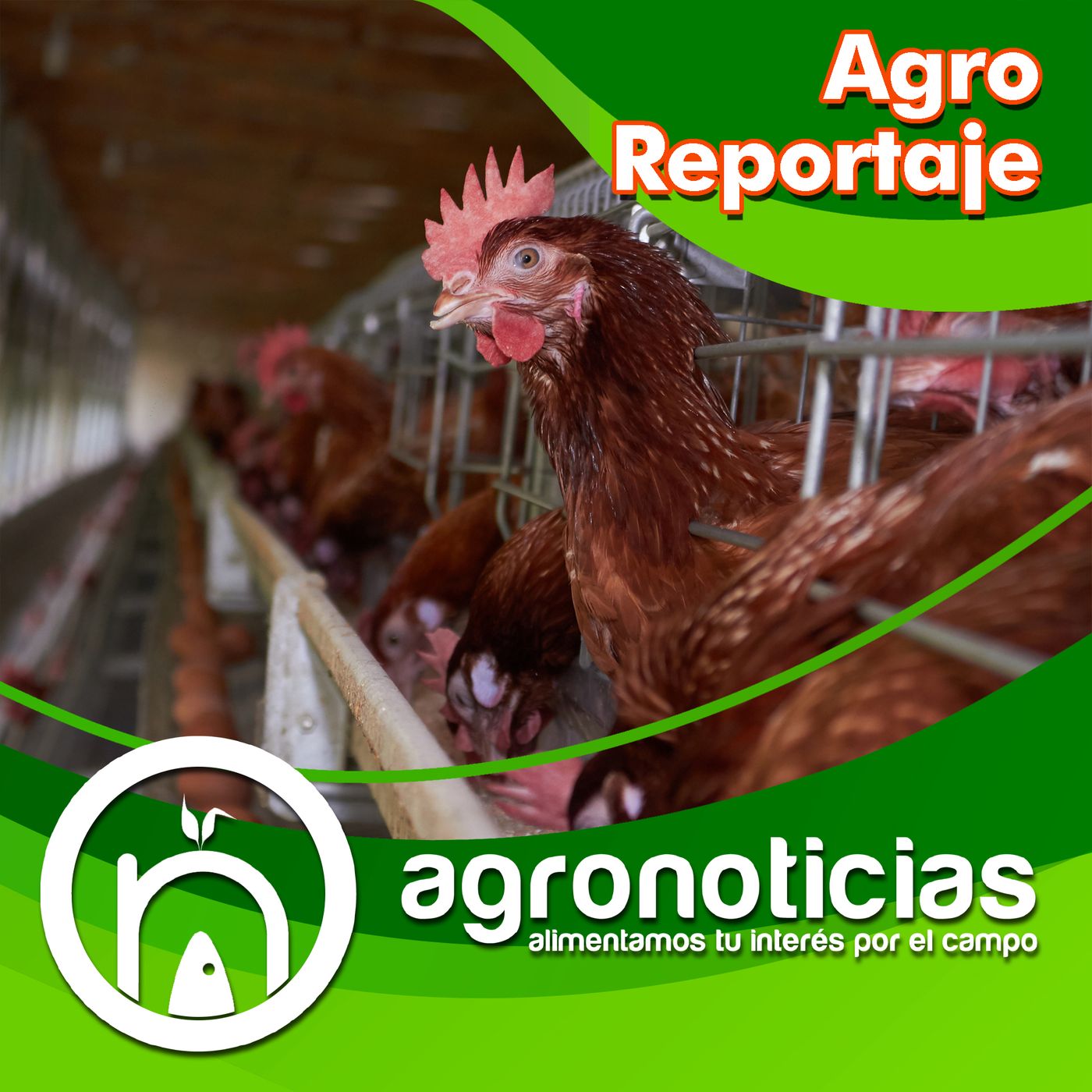 AgroReportaje