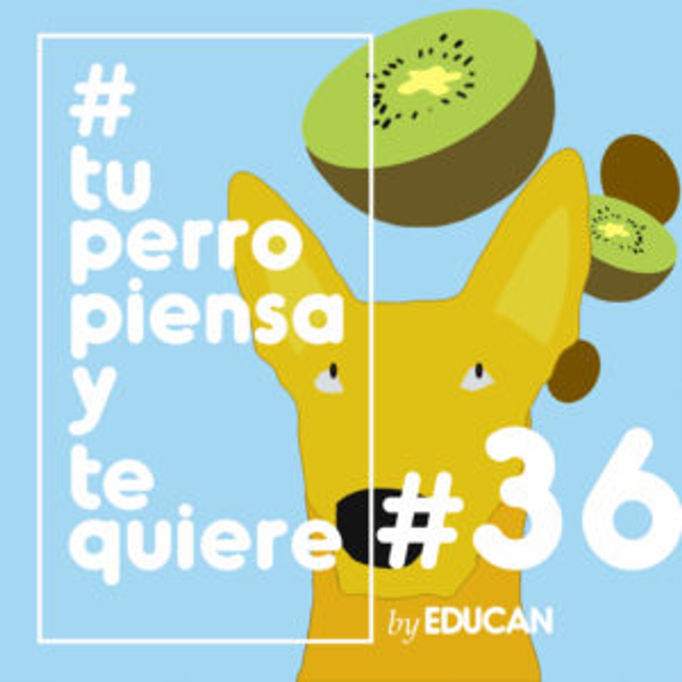 Tu perro piensa y te quiere