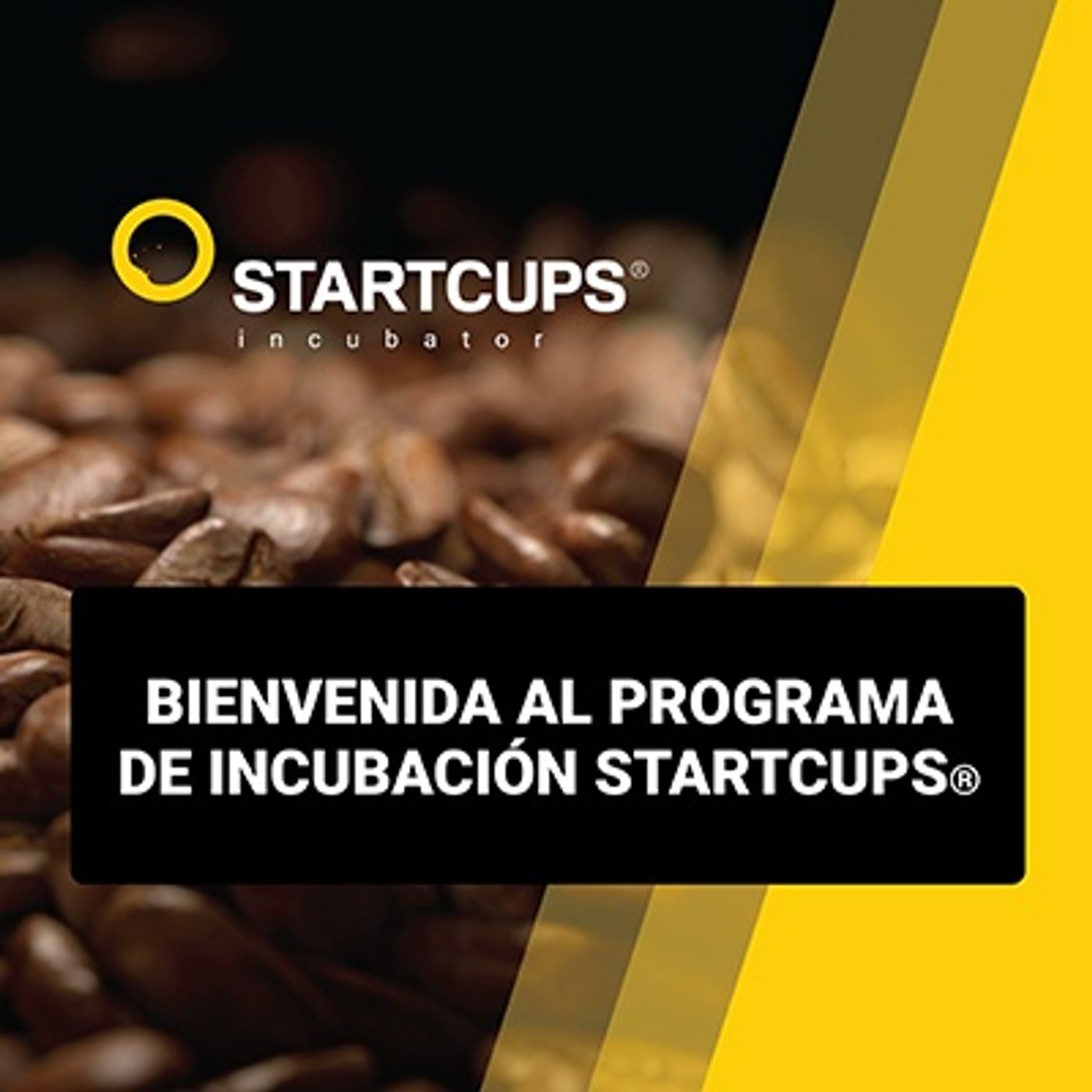 STARTCUPS® Cursos para Emprendedores